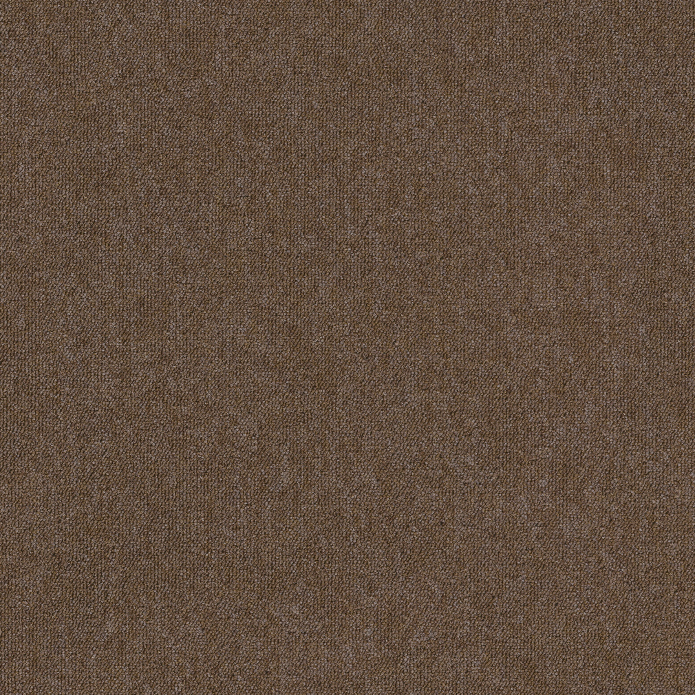 Image of Renowerk Teppichfliese »Neapel«, quadratisch, 3 mm Höhe, Camel, selbstliegend bei Ackermann Versand Schweiz