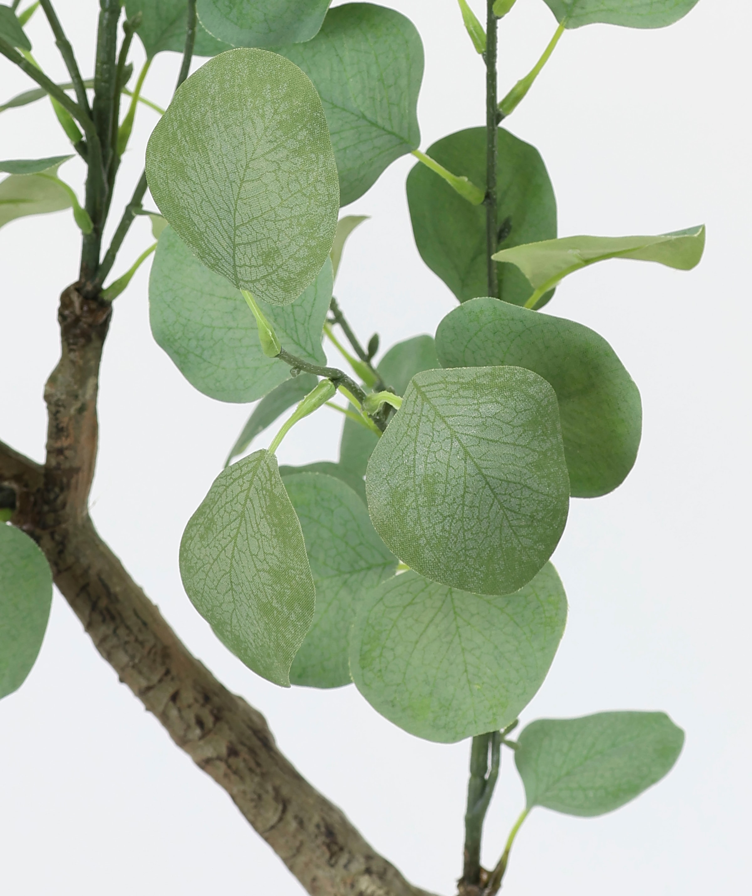 I.GE.A. Kunstpflanze »Kunstbaum Eukalyptus im Topf Pflanze Deko Strauch Busch«, Kunstblume Künstlich Grünpflanzen Silber Dollar Blätter