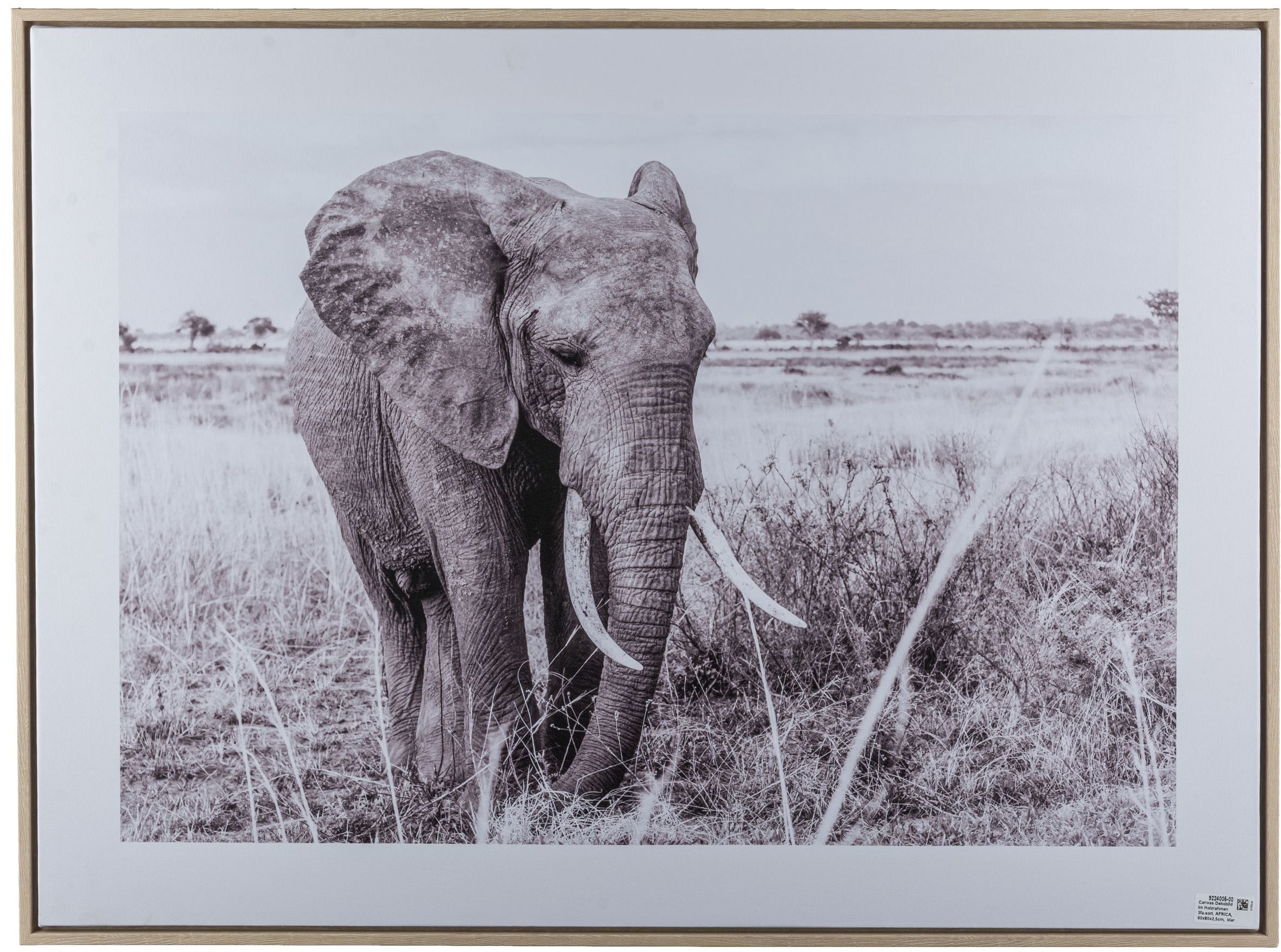 Image of Creativ home Bild mit Rahmen "Elefant" 1 Stk. tlg. mit schwarz-weissem Motiv