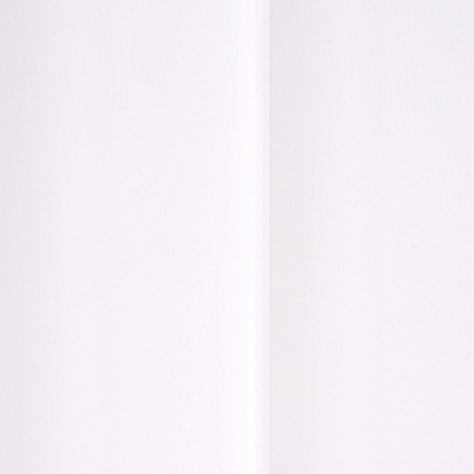 Liedeco Lamellenvorhang »Vertikalanlage 127 mm«, (1 St.) günstig kaufen