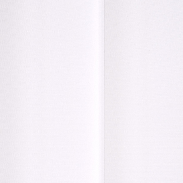 Liedeco Lamellenvorhang »Vertikalanlage 127 mm«, (1 St.) günstig kaufen