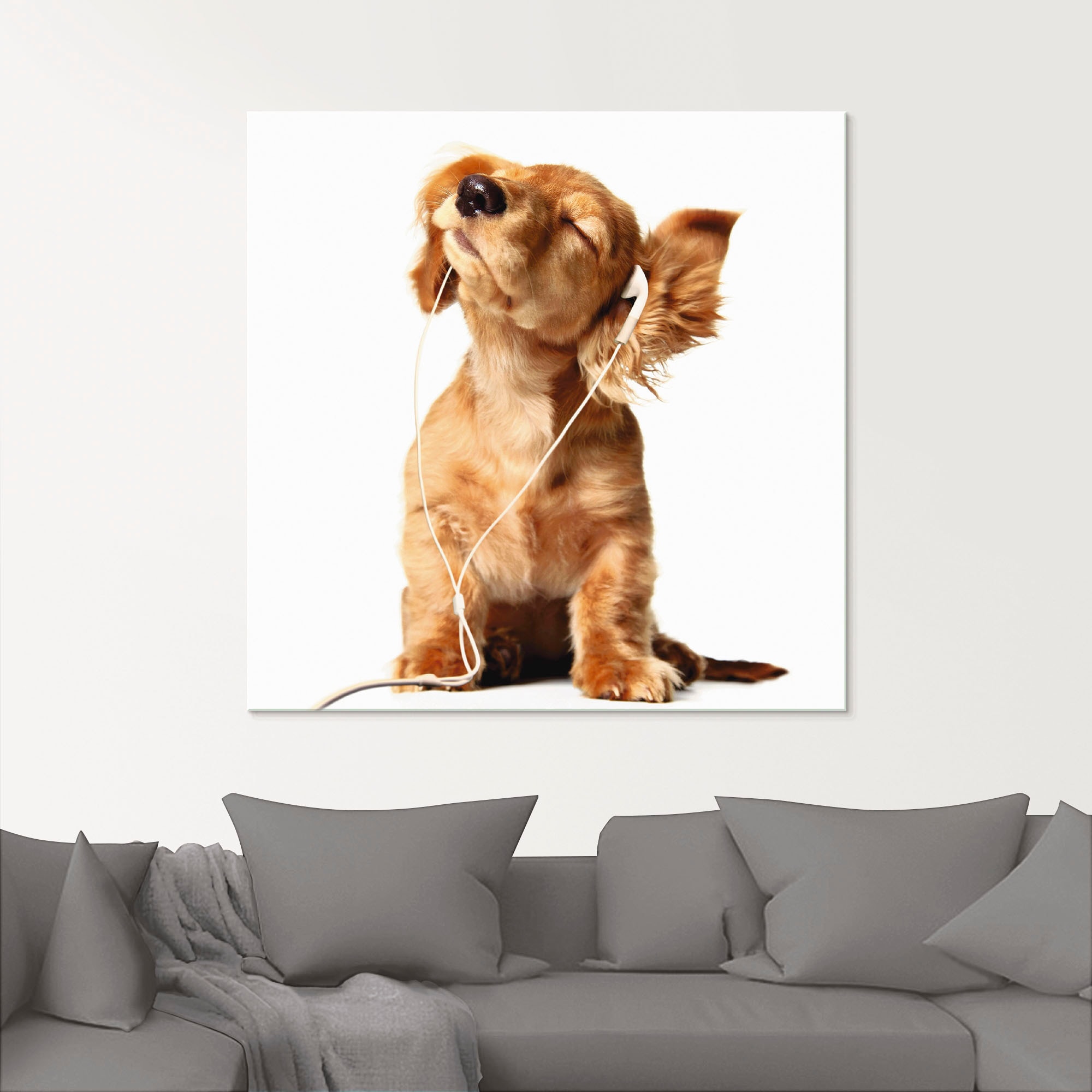 Artland Tableau en verre »Junger Hund hört Musik über Kopfhörer« Animaux de compagnie 1 cuis tlg. disponible en différentes tailles