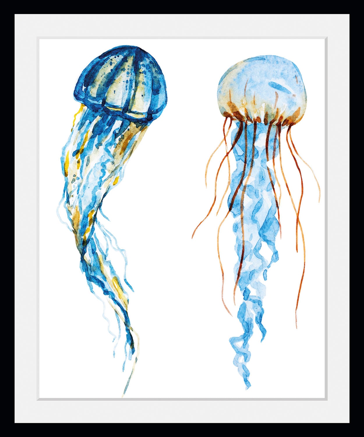 queence Bild »Alexander« Kunst | Meer | Wassertiere 1 Stk. tlg. HD Premium Poster-Druck inkl. Holzrahmen