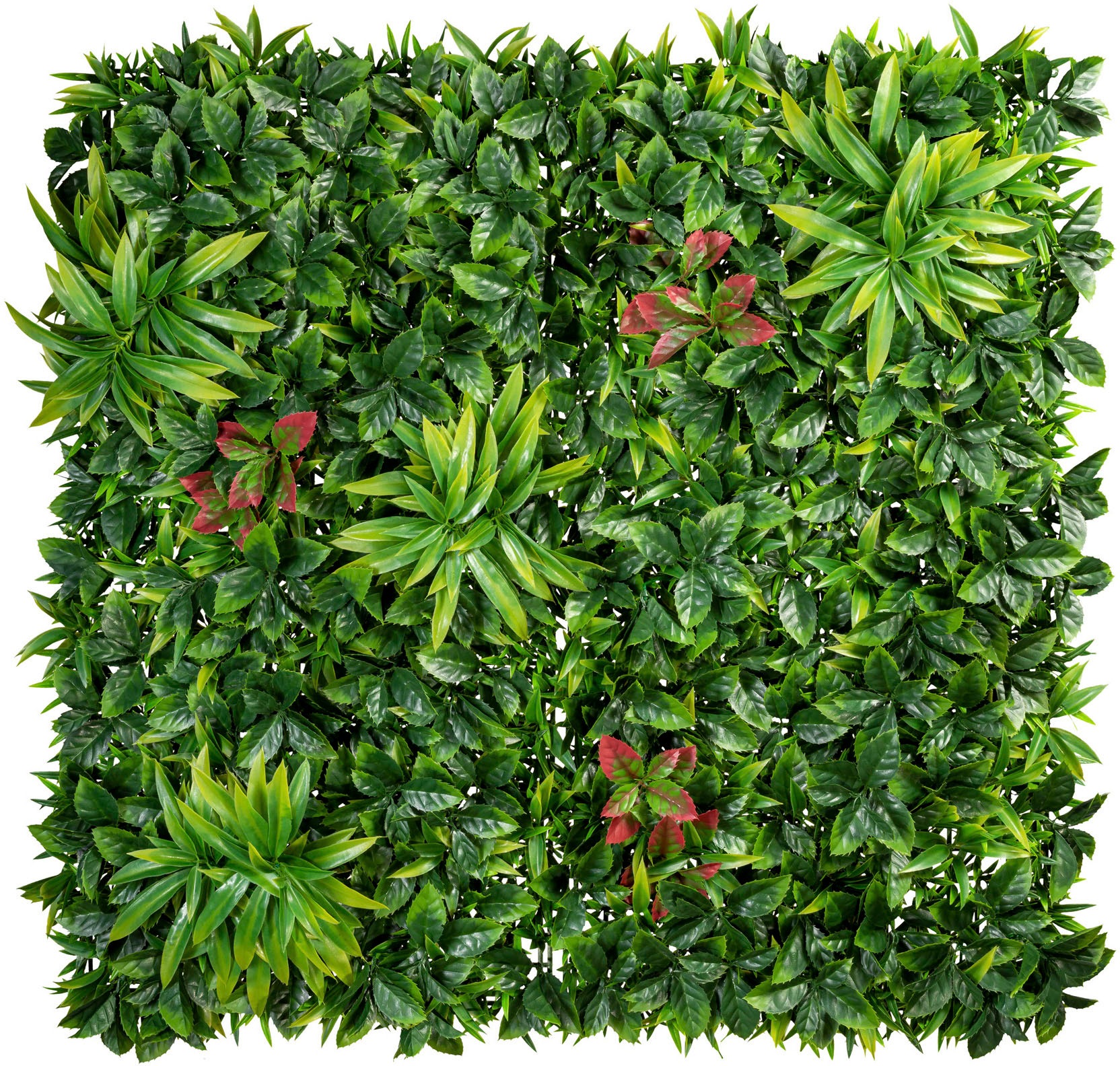 Image of Creativ green Kunstpflanze »Farnmatte«, (1 St.) bei Ackermann Versand Schweiz