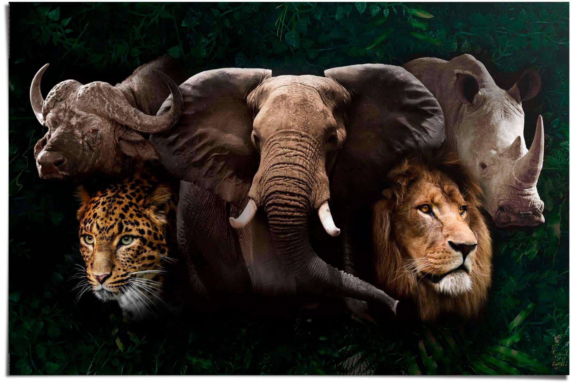 Poster »The big five«