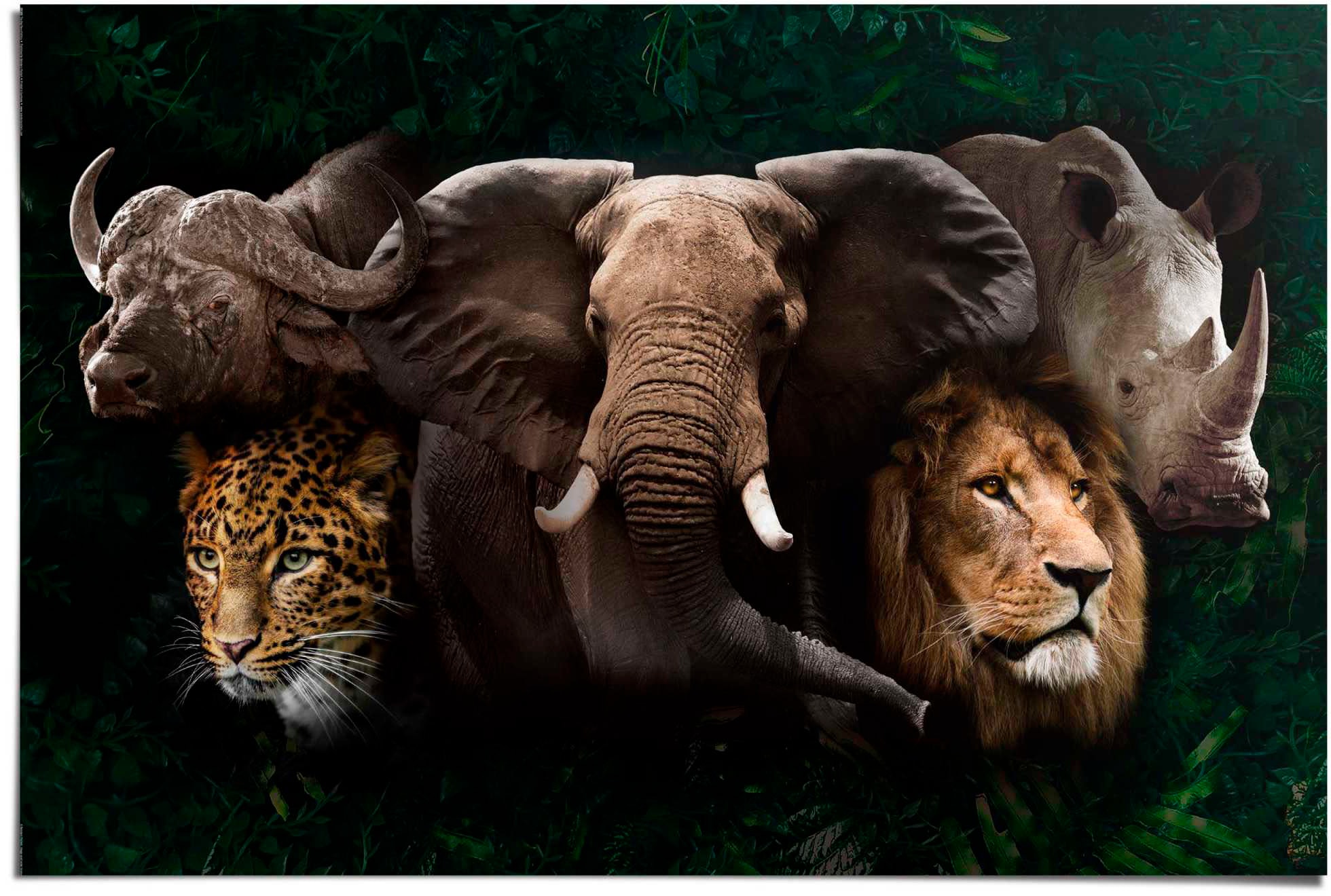 Image of Reinders Poster "The big five"