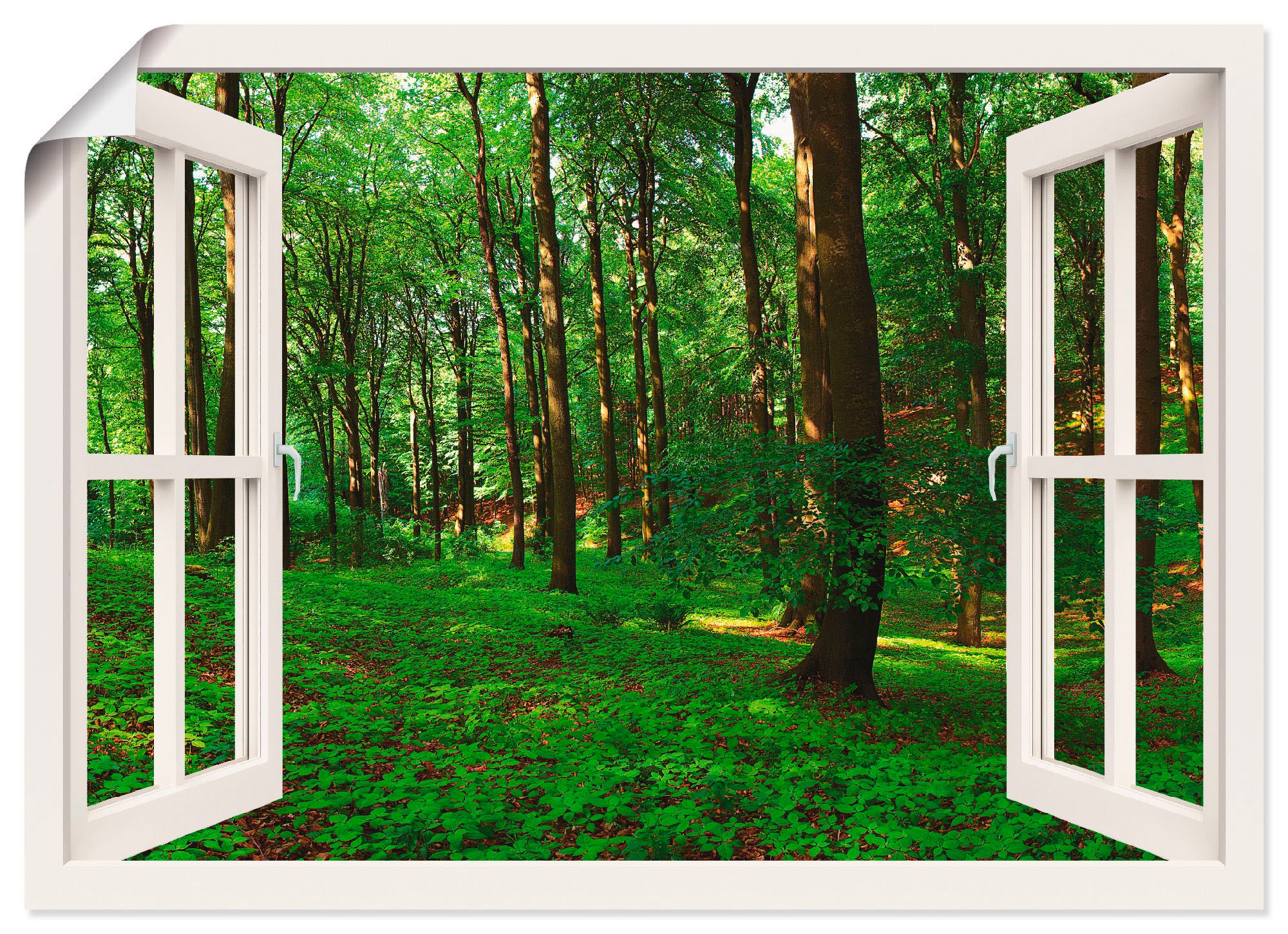 Image of Artland Wandbild »Fensterblick Panorama grüner Sommerwald«, Fensterblick, (1 St.), in vielen Grössen & Produktarten -Leinwandbild, Poster, Wandaufkleber / Wandtattoo auch für Badezimmer geeignet bei Ackermann Versand Schweiz