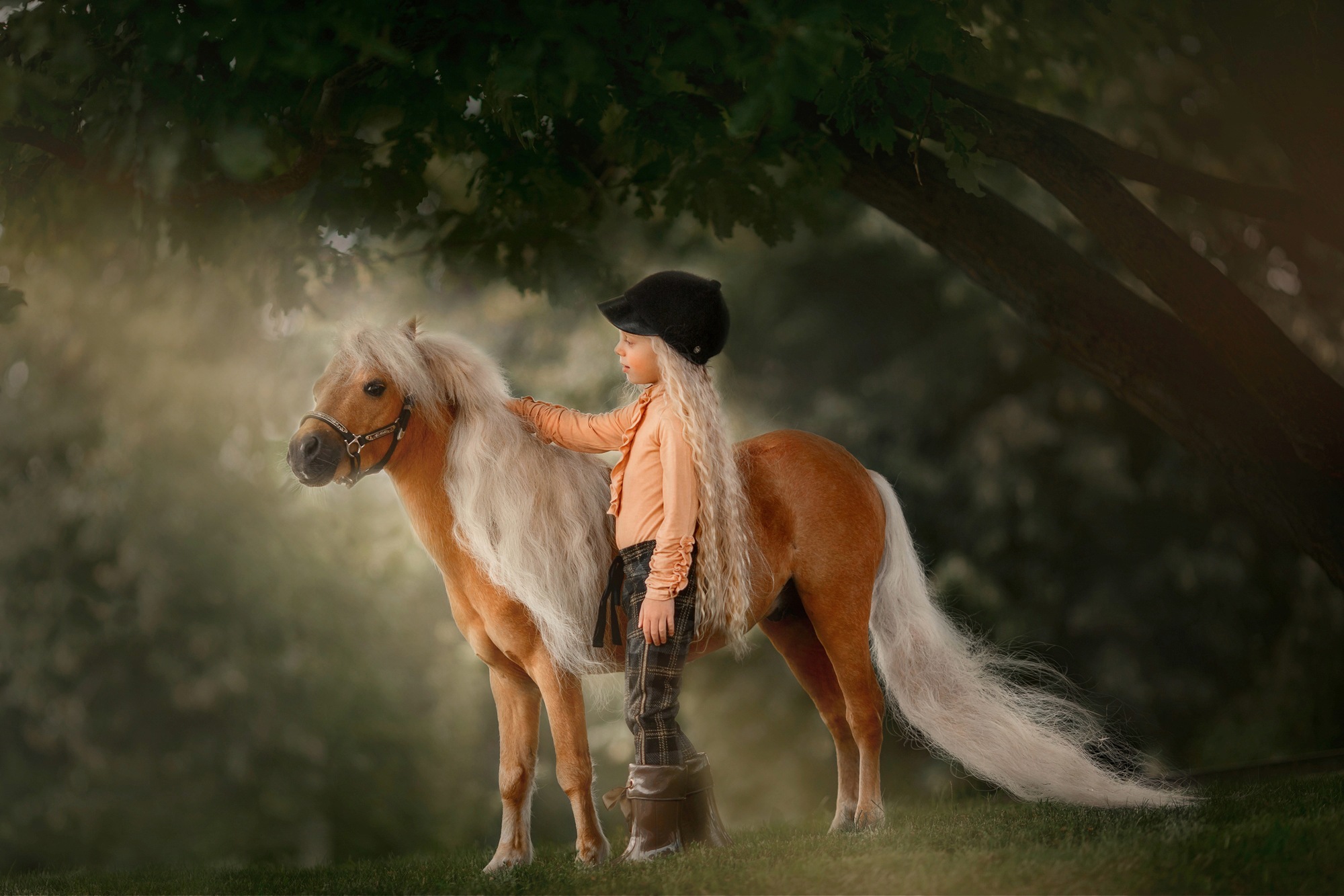 Image of Papermoon Fototapete »PALOMINO MINIATURE PFERD-MÄDCHEN WINTER TIER PONY MINI«, Vliestapete, hochwertiger Digitaldruck, inklusive Kleister bei Ackermann Versand Schweiz