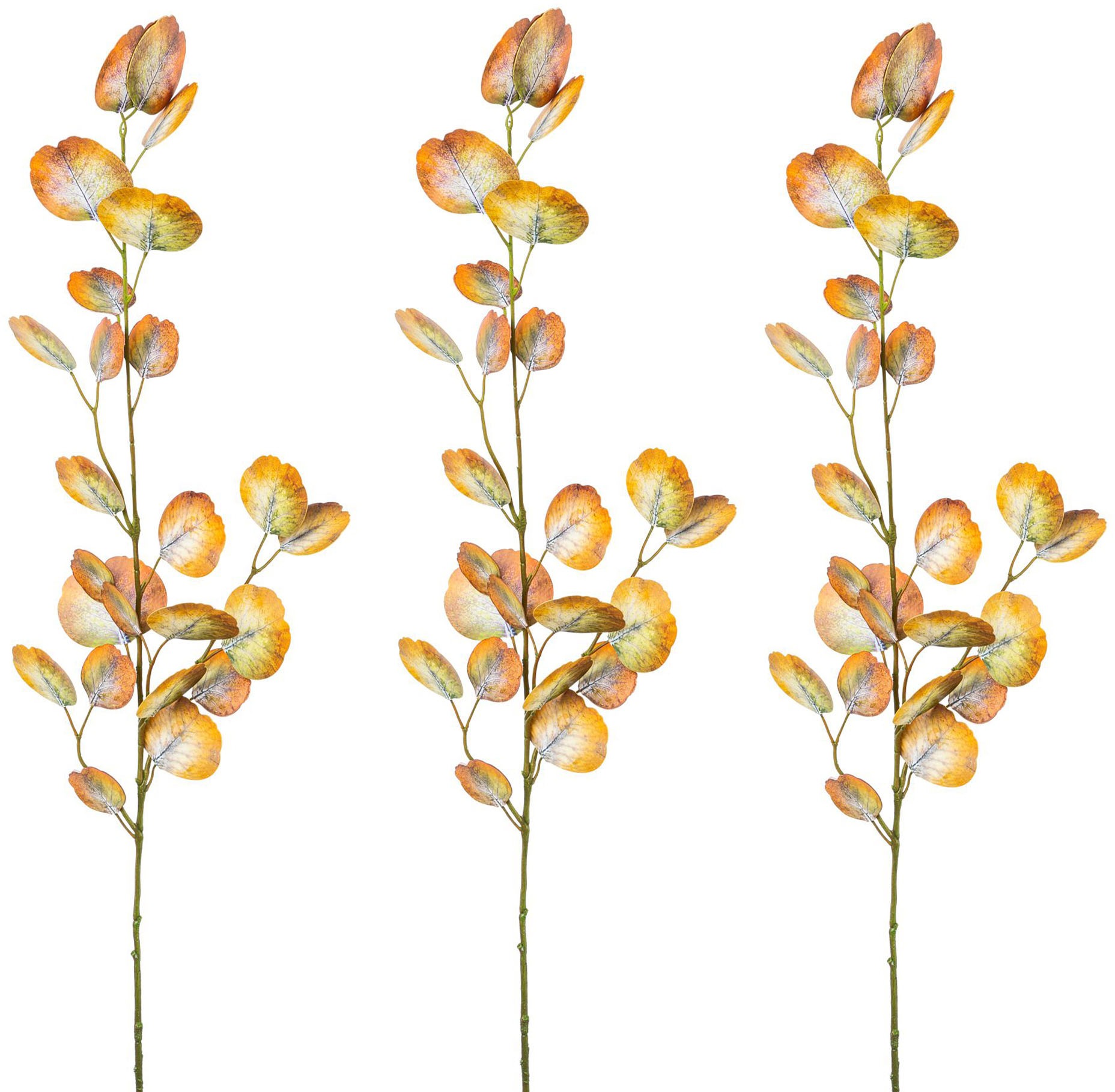 Image of Creativ green Kunstzweig »Eukalypthuszweig«, (Set, 3 St.) bei Ackermann Versand Schweiz