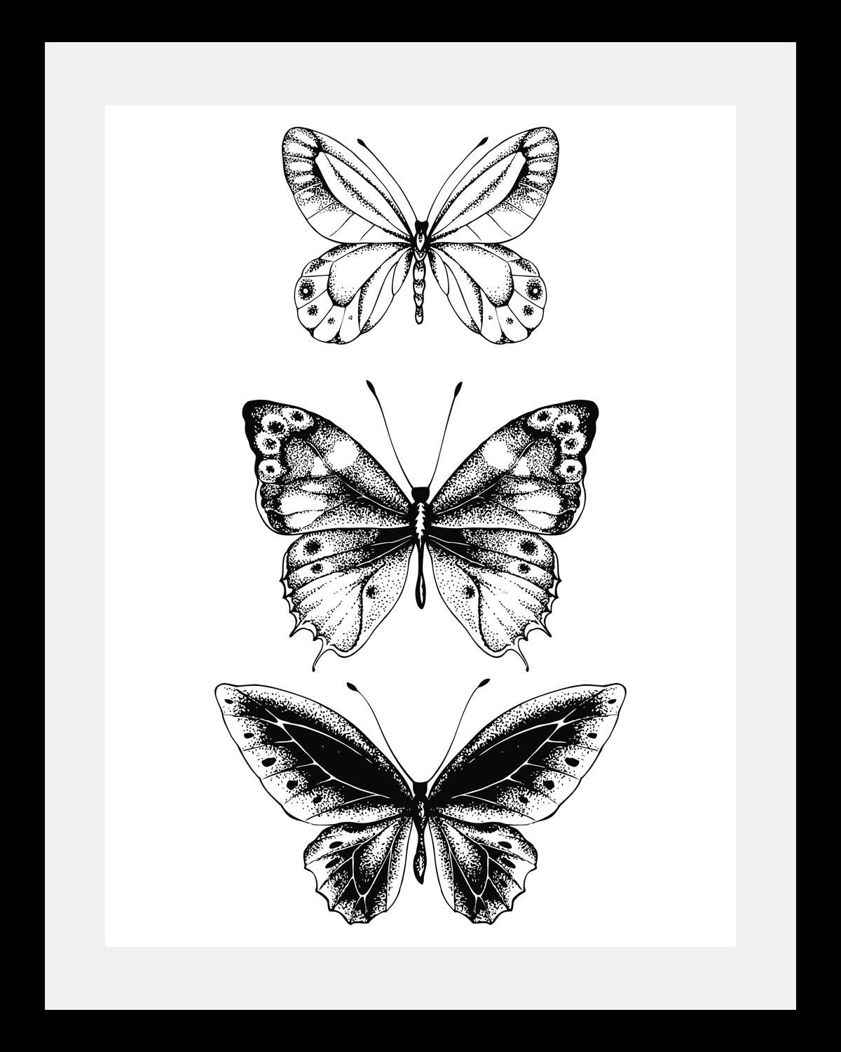Image of queence Bild "Schmetterlinge" Insekten Kunst Schmetterlinge Schwarz-Weiss Tiere HD Premium Poster-Druck inkl. Holzrahmen