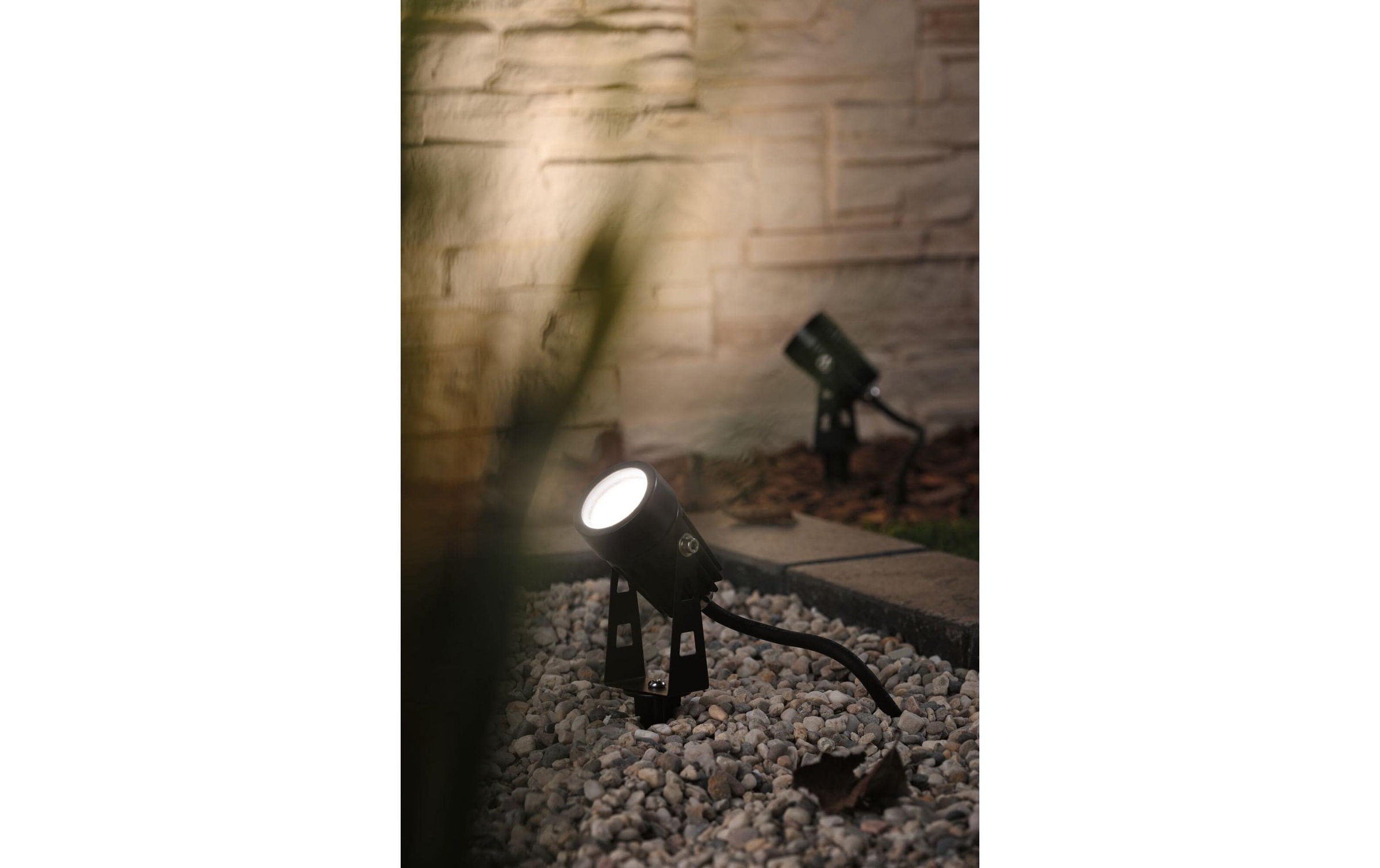 Paulmann Projecteur de jardin »Plug & Shine IP65, 3000 K, 2 W« 1 cuis