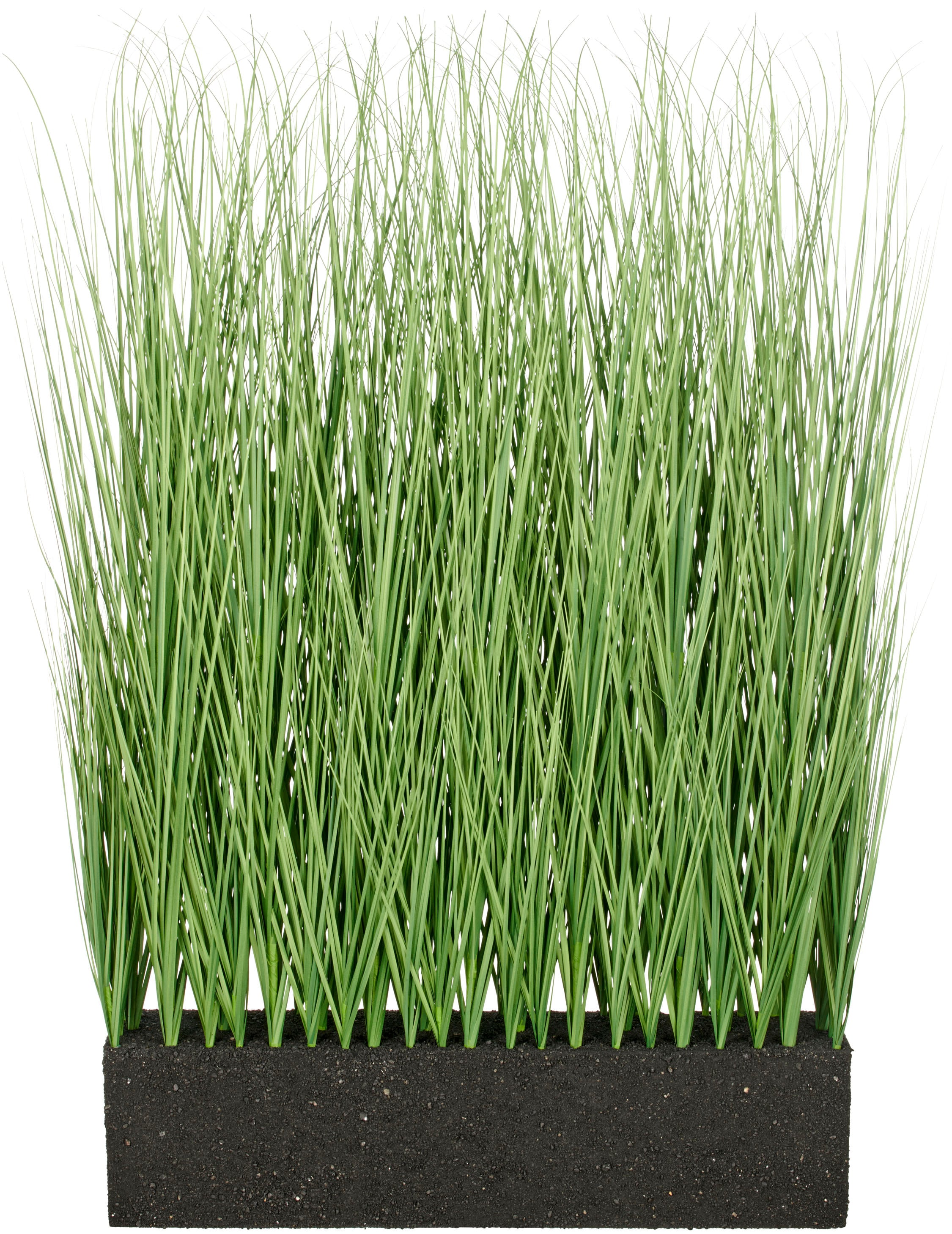 Creativ green Kunstgras »Raumteiler Miscanthusgras« in UV-beständiger Ausführung