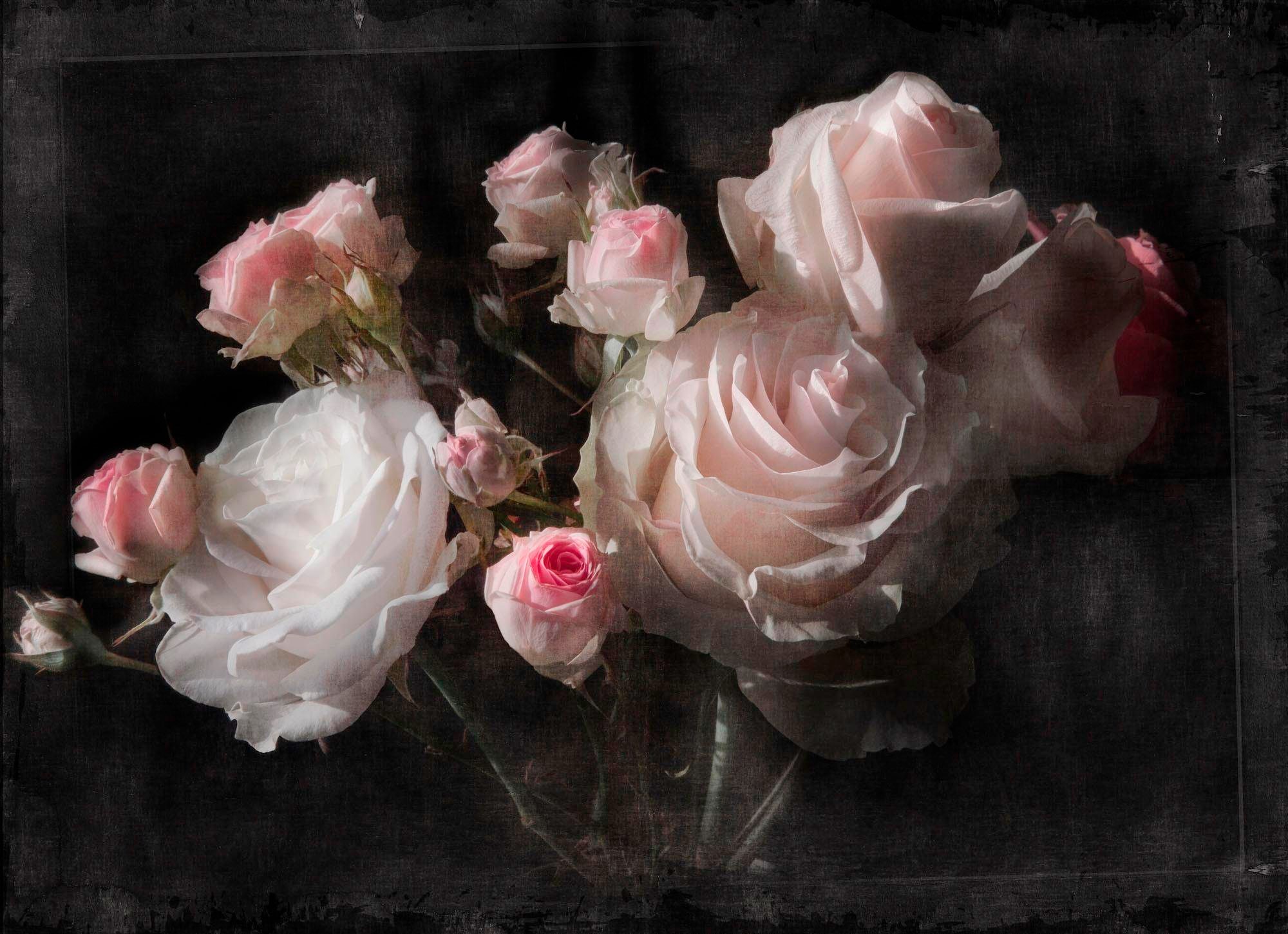 Image of Komar Fototapete "Eternity - Grösse 254 x 184 cm" bedruckt glatt Wohnzimmer, Schlafzimmer