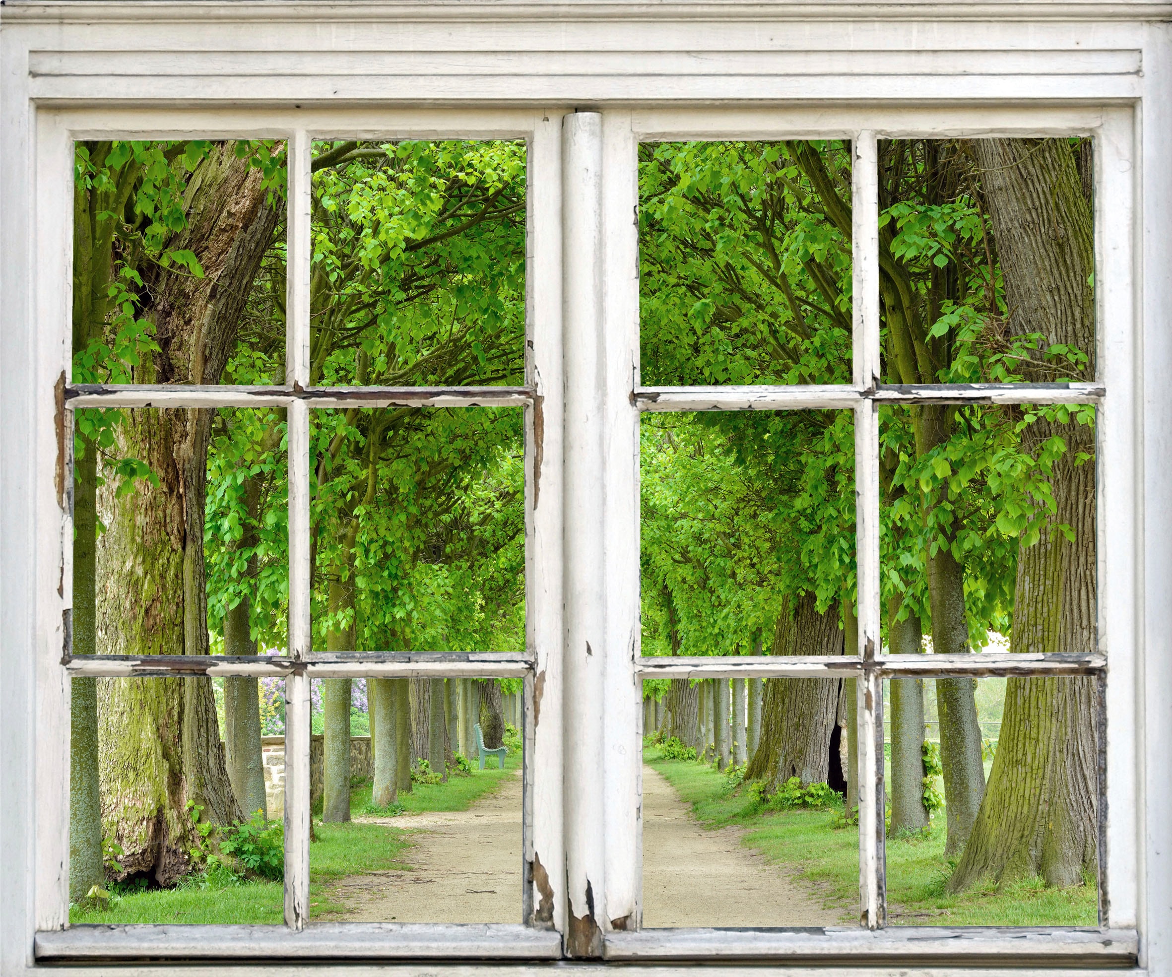 Image of queence Wandsticker "Allee" Wandsticker, Wandbild, selbstklebend, Bäume, Strasse, Weg, Allee