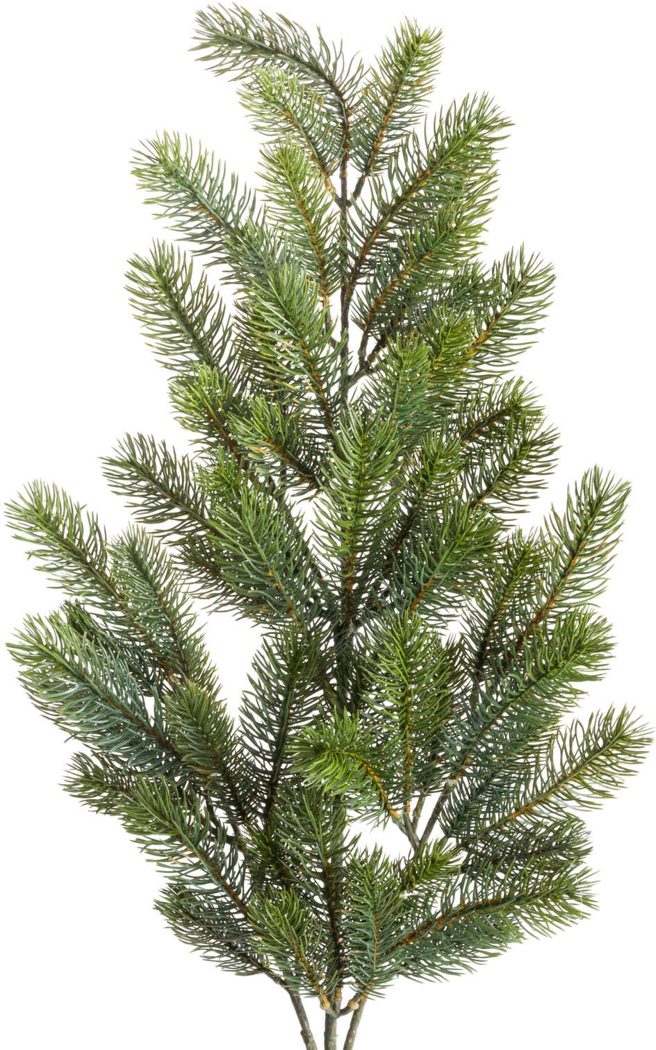 Image of Botanic-Haus Kunstzweig »Edel-Tannenzweig mit 57 Spitzen«, (1 St.) bei Ackermann Versand Schweiz
