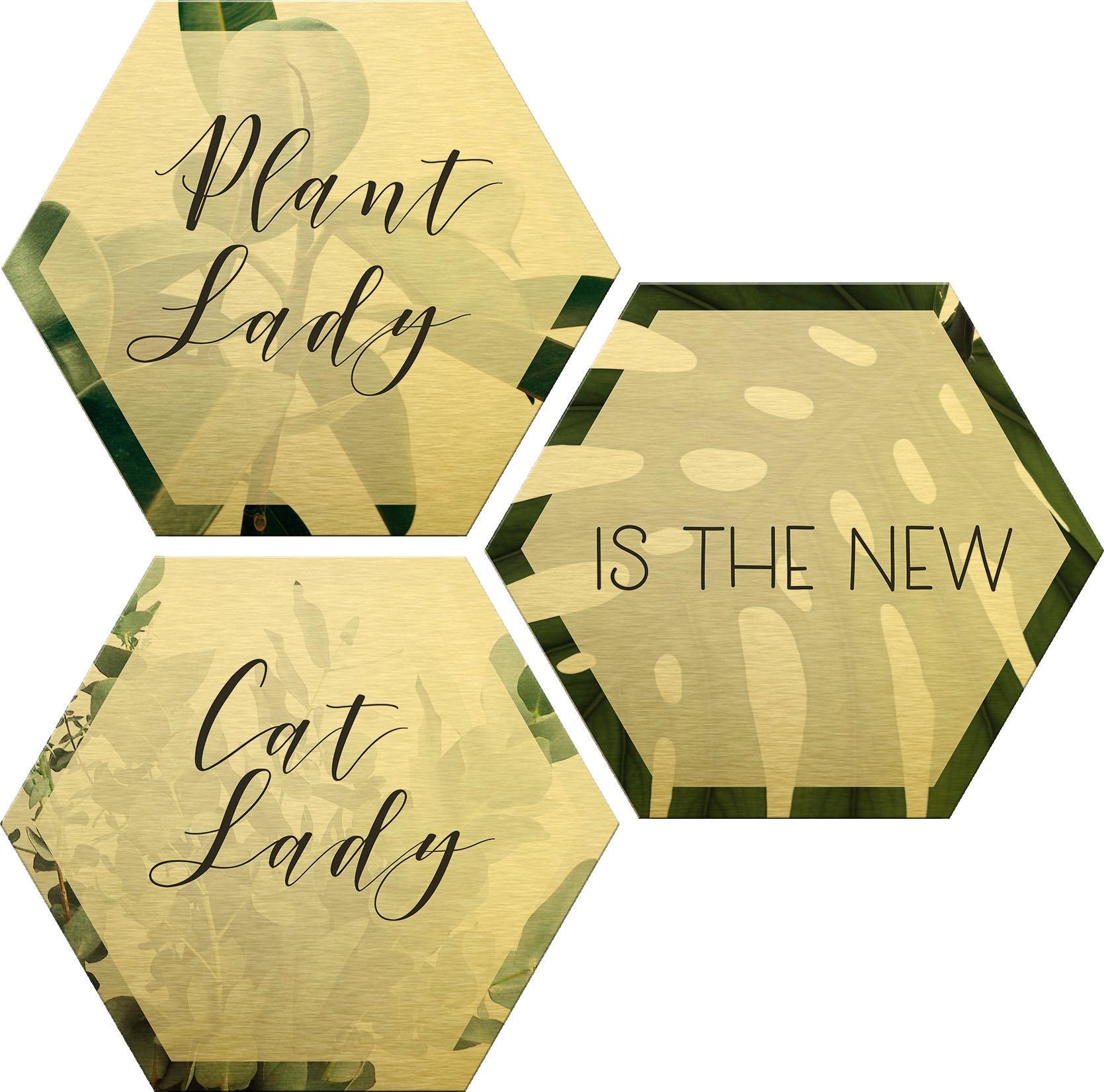 Metallbild »Plantlady is the new Catlady«, Natur, (Set), Masse (B/H): 25/22 cm