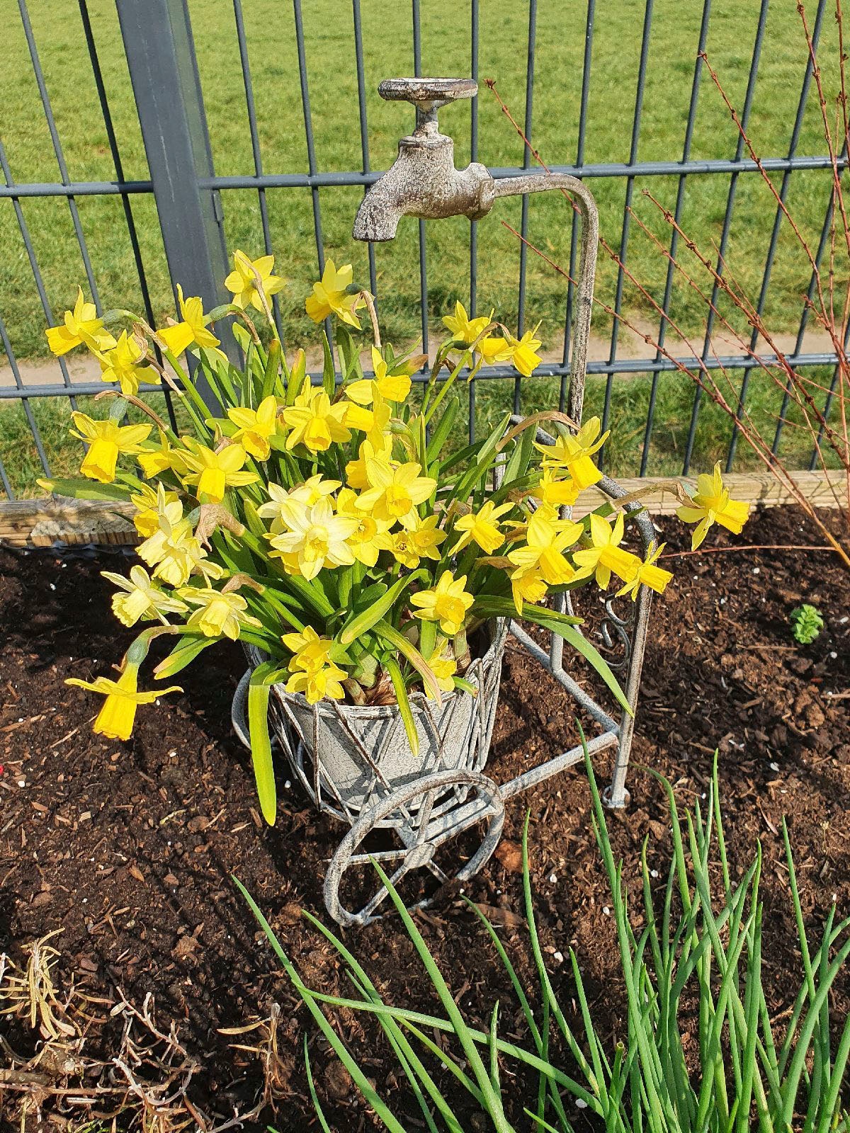 Haus kaufen (1 Ambiente St.) günstig Blumenhocker,