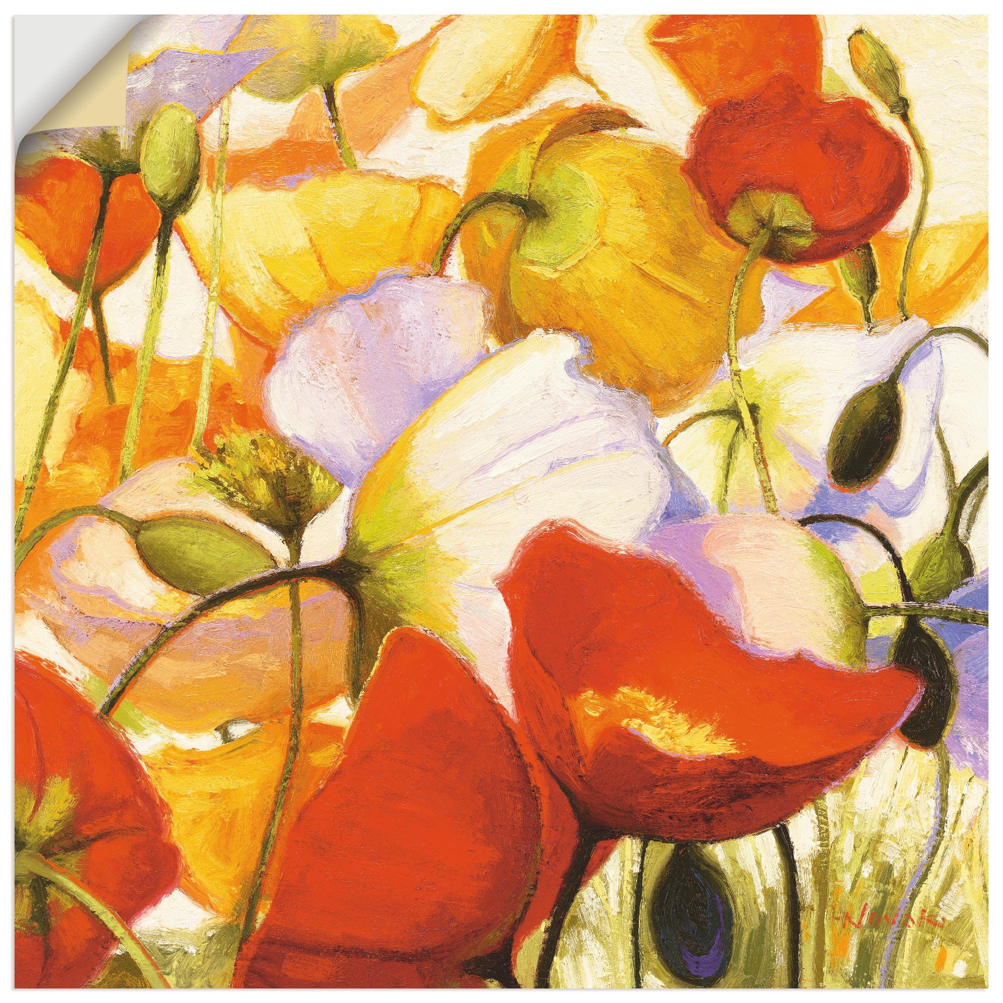 Image of Artland Wandbild »Mohnblumen aus der Nähe«, Blumen, (1 St.), in vielen Grössen & Produktarten -Leinwandbild, Poster, Wandaufkleber / Wandtattoo auch für Badezimmer geeignet bei Ackermann Versand Schweiz