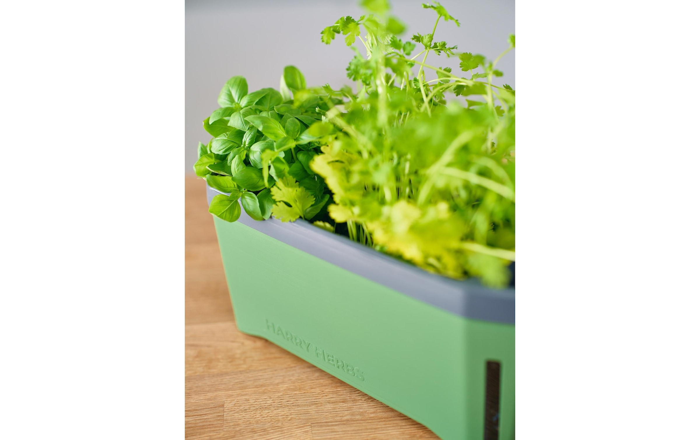 Gusta Garden Kräutertopf »HERBS dunkelgrün«