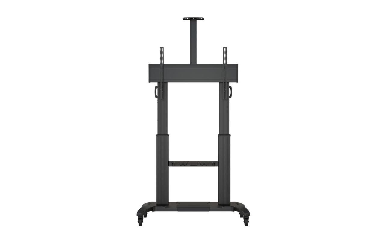 TV-Ständer »Multibrackets M Public D«