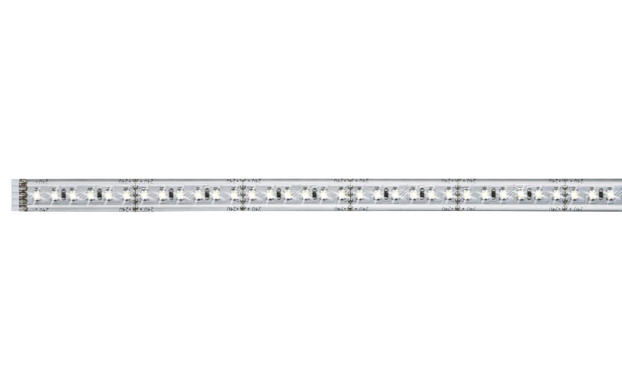 jetzt 144 LED-Streifen Paulmann St.-flammig »MaxLED kaufen 270«, 1000