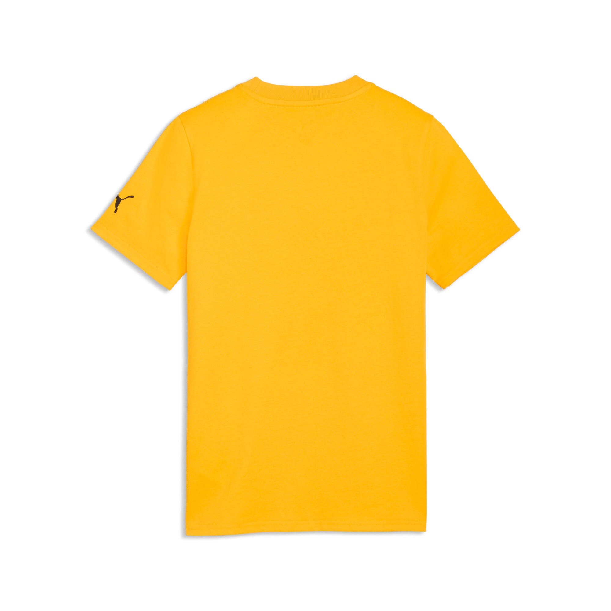 PUMA T-shirt d'entraînement »BVB X SESAME STREET TEE JR« coupe régulière, manches courtes, pour football, col rond