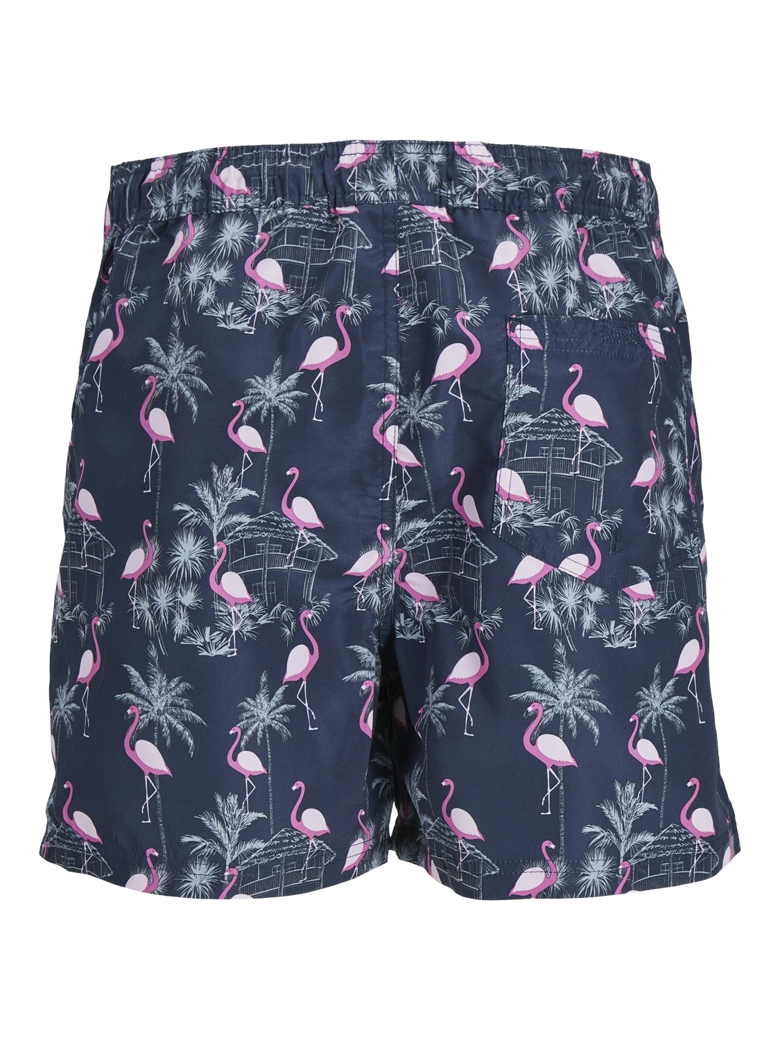 Jack & Jones Bikini-Hose »JPSTFIJI JJSWIM AOP SS24 LY SN«