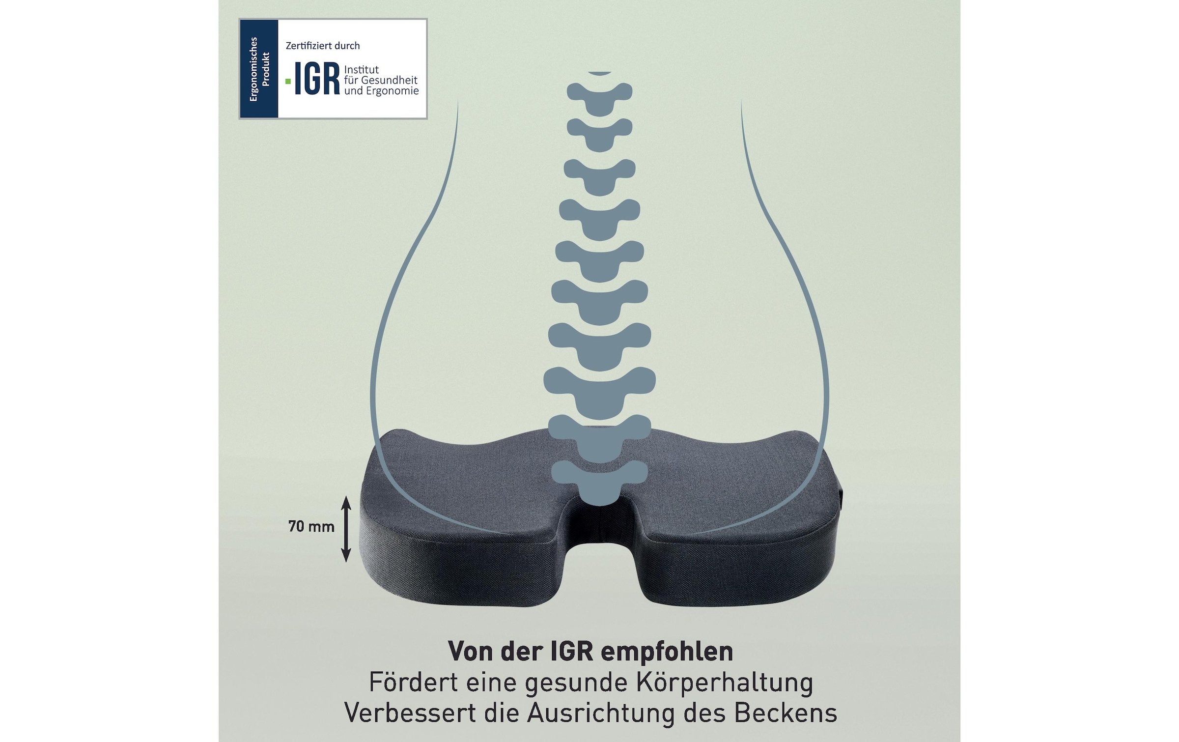 LEITZ Sitzkissen »Leitz iComfi Beheizbares Ergo Sitzkissen «