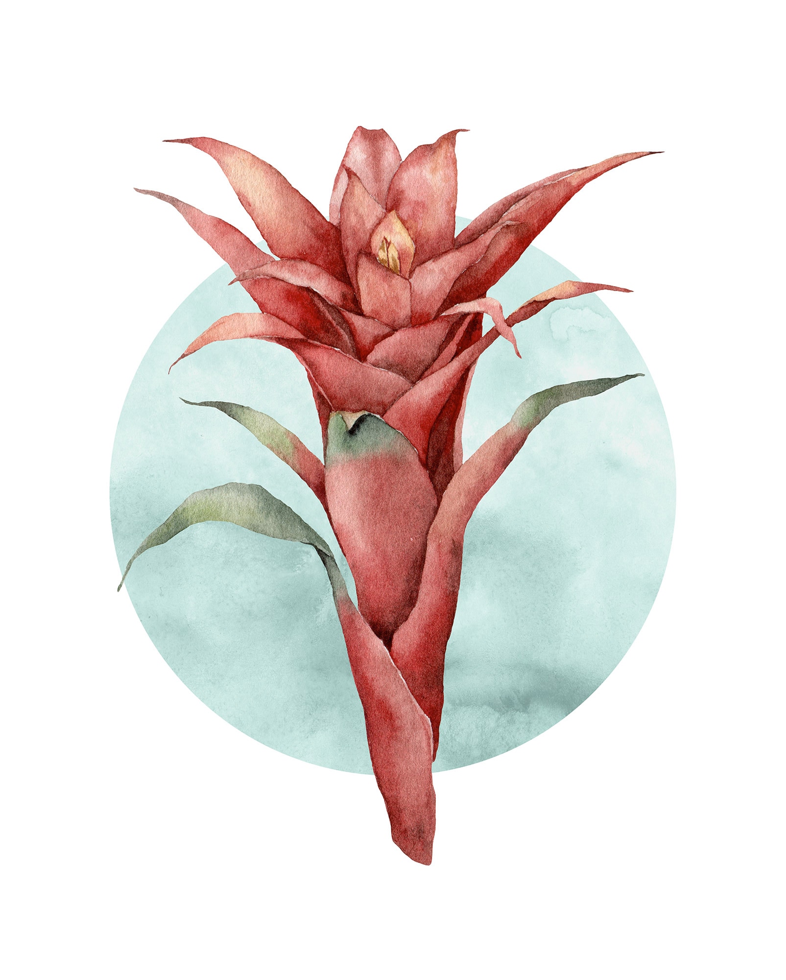 Image of Komar Bild "Funky Flower" Natur 1 Stk. tlg. Wandbild zur Dekoration - ohne Rahmen