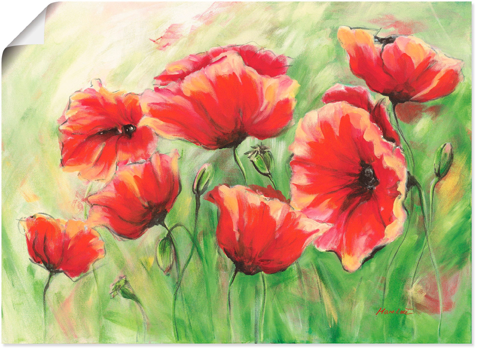 Image of Artland Wandbild "Rote Mohnblumen II" Blumen 1 Stk. tlg. als Leinwandbild, Poster in verschied. Grössen