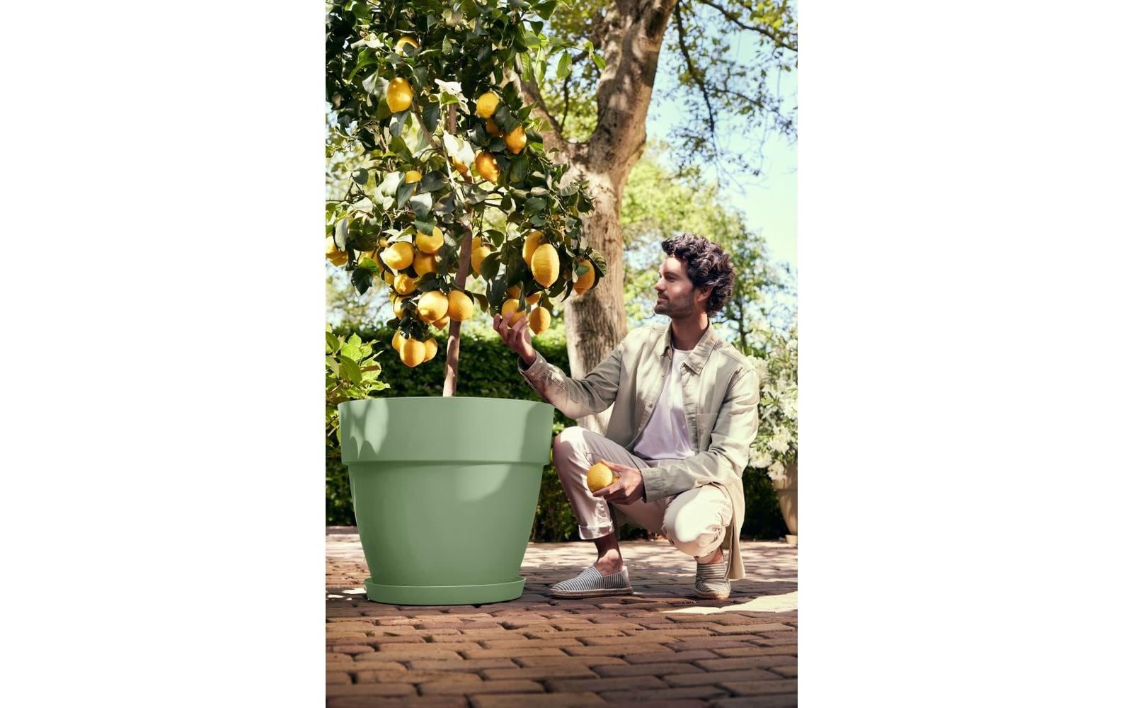 Elho Blumentopf »Vibia Campana Rund«