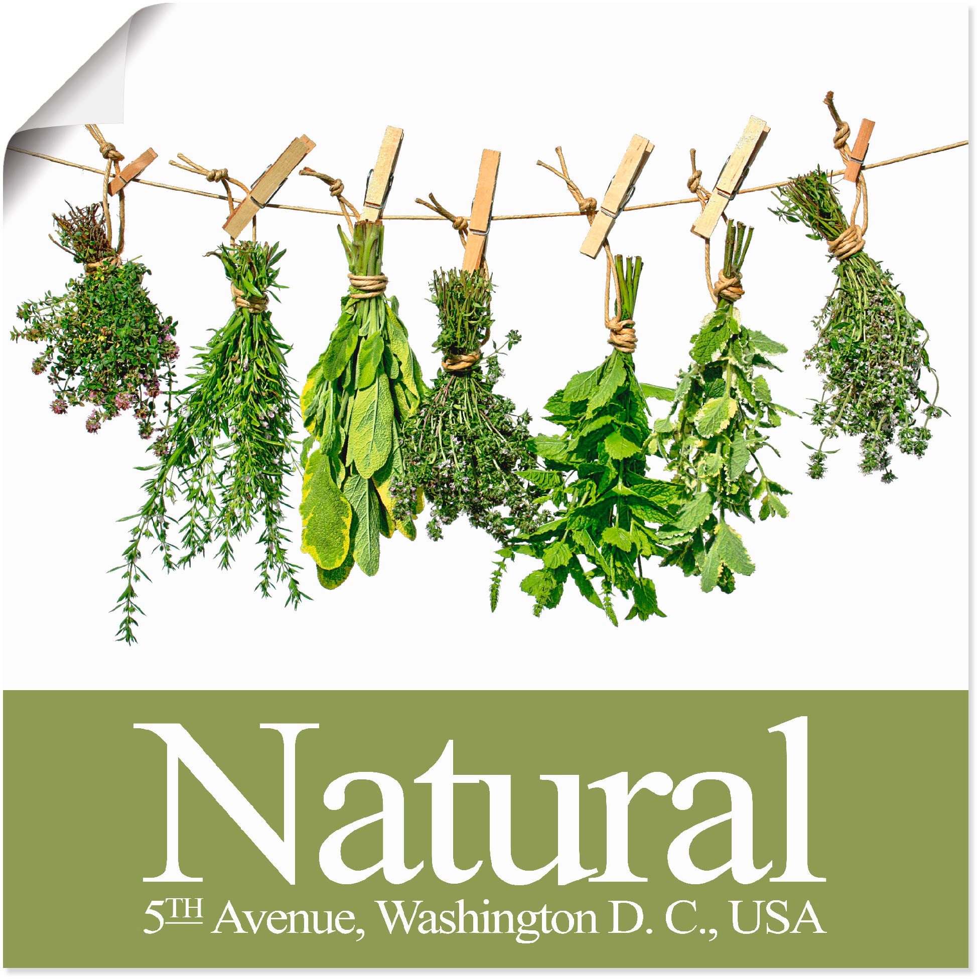 Image of Artland Wandbild »Natürlich«, Pflanzen, (1 St.), in vielen Grössen & Produktarten -Leinwandbild, Poster, Wandaufkleber / Wandtattoo auch für Badezimmer geeignet bei Ackermann Versand Schweiz