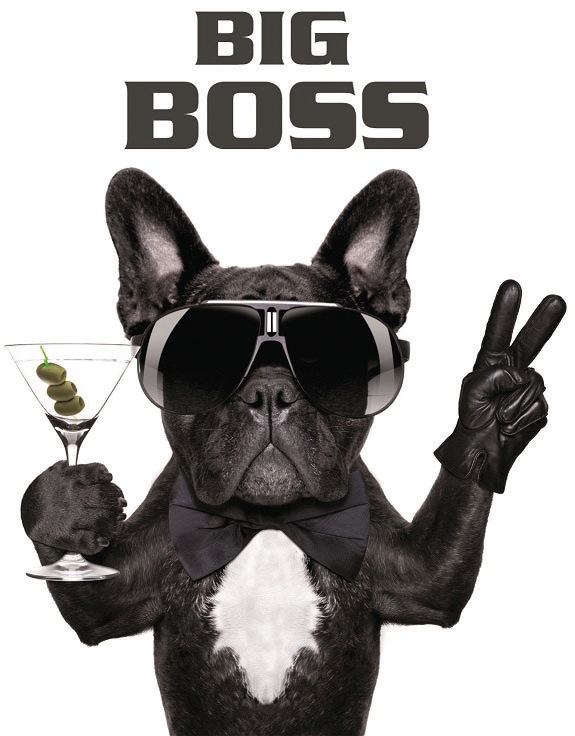 Image of Bönninghoff Leinwandbild "Big Boss" 1 Stk. tlg.