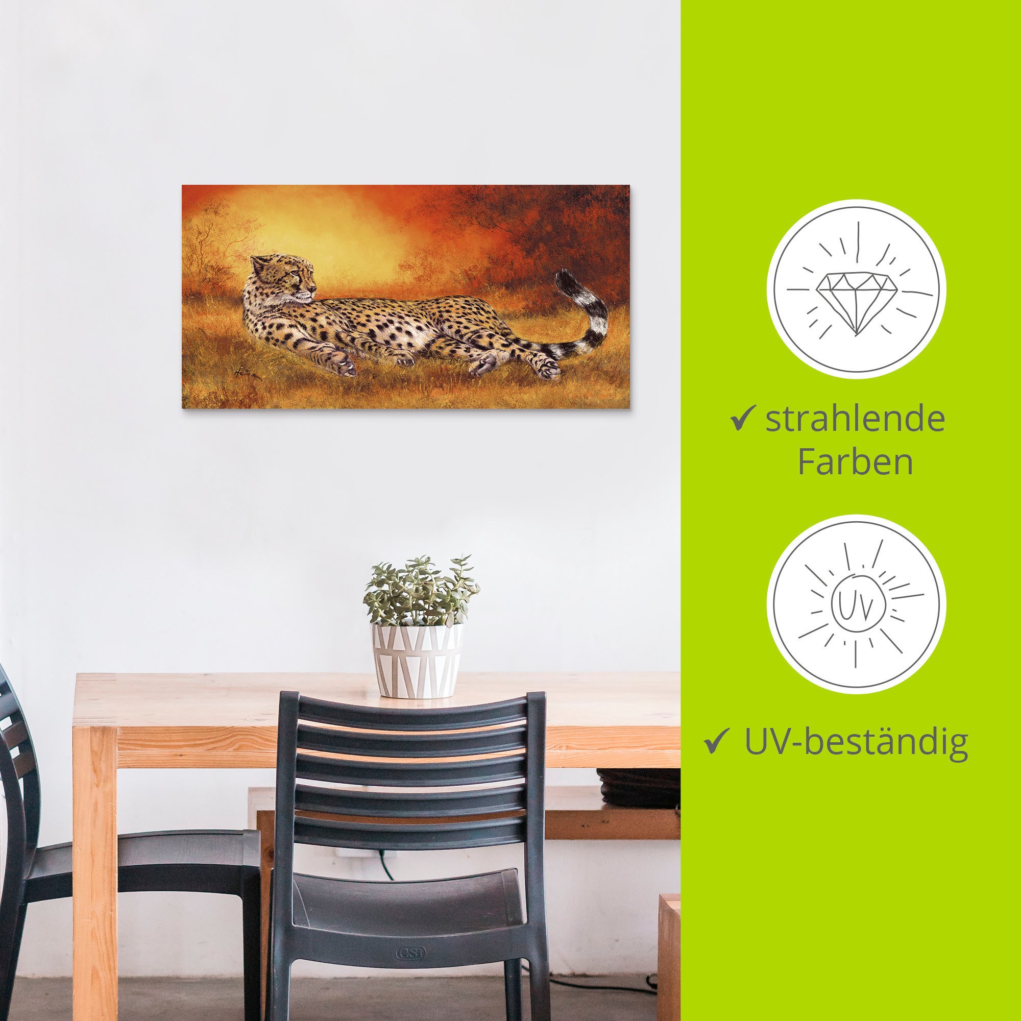 Artland Fresque murale »Gepard« 1 cuis tlg. als Alubild, Leinwandbild in verschied. Grössen