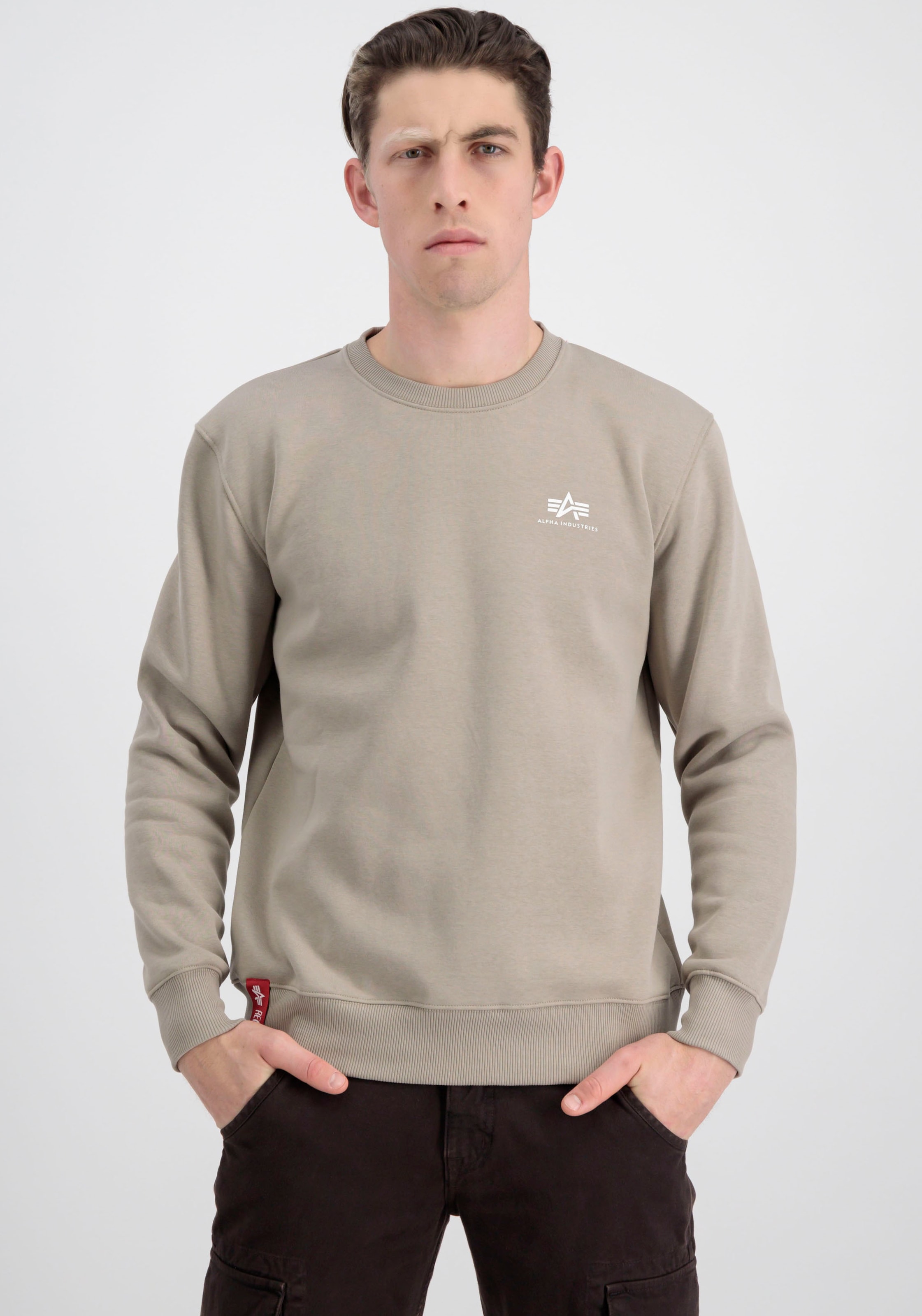 Alpha Industries Sweatshirt »Basic Sweater small Logo«