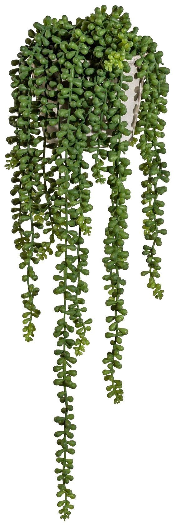 Image of Creativ green Kunstranke »Sedumhänger«, (1 St.), im Zementtopf bei Ackermann Versand Schweiz