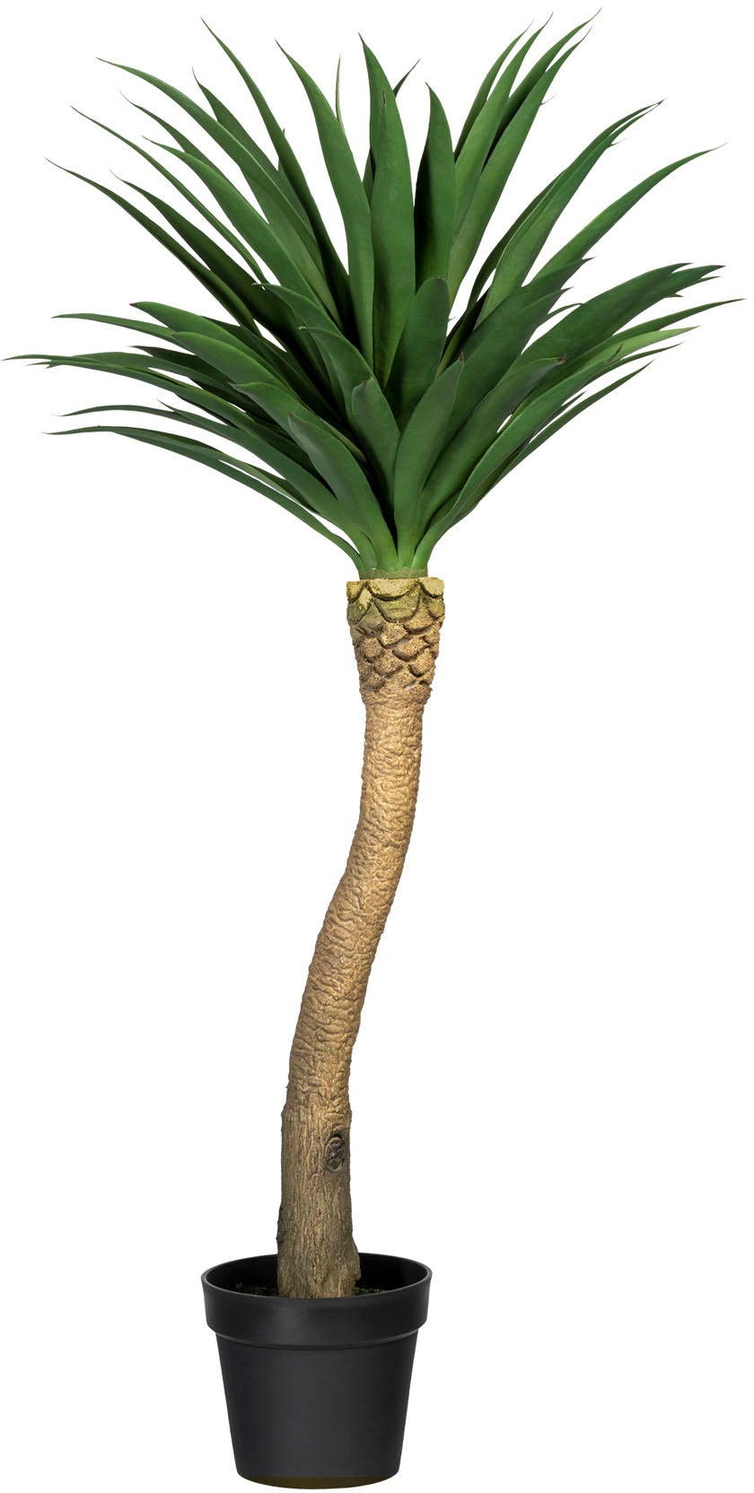 Image of Creativ green Künstliche Zimmerpflanze »Yuccapalme Hochstamm«, (1 St.) bei Ackermann Versand Schweiz