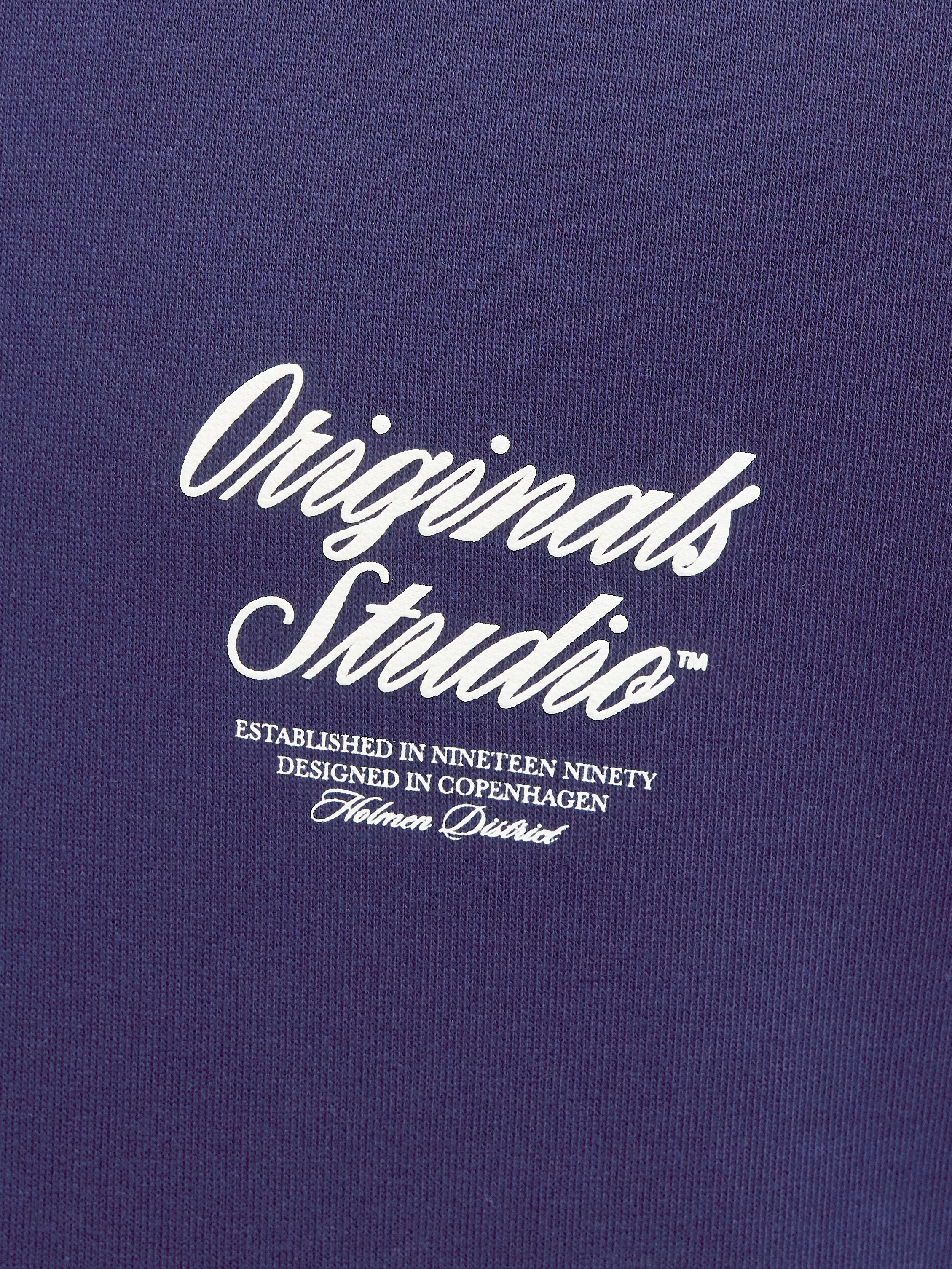 Jack & Jones Kapuzensweatshirt »JORNORREBRO TYPO BACK SWEAT HOOD SN«