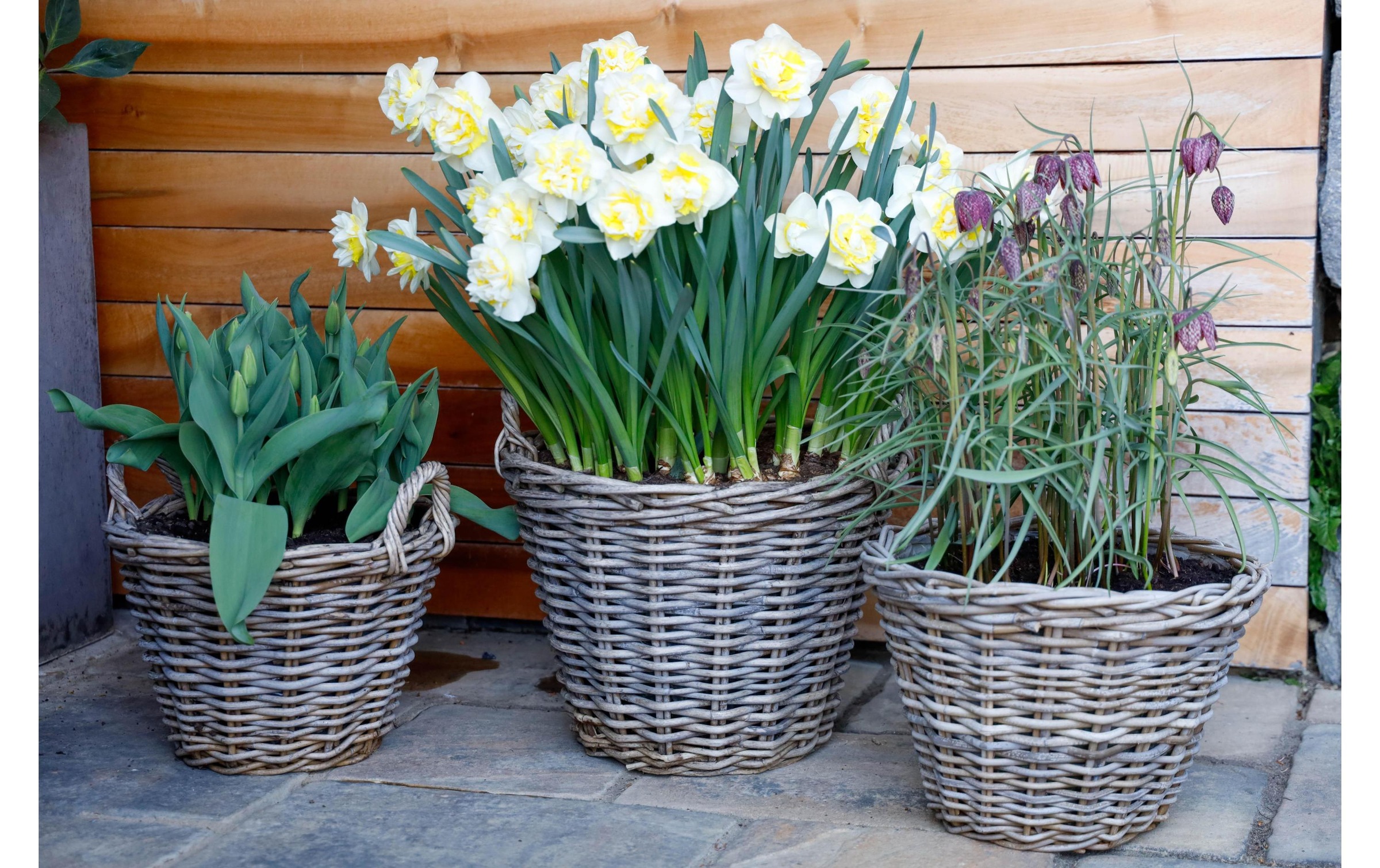 Blumentopf »Jaco Rattan rund Ø 38 cm«, Material: Plastik, Rattan