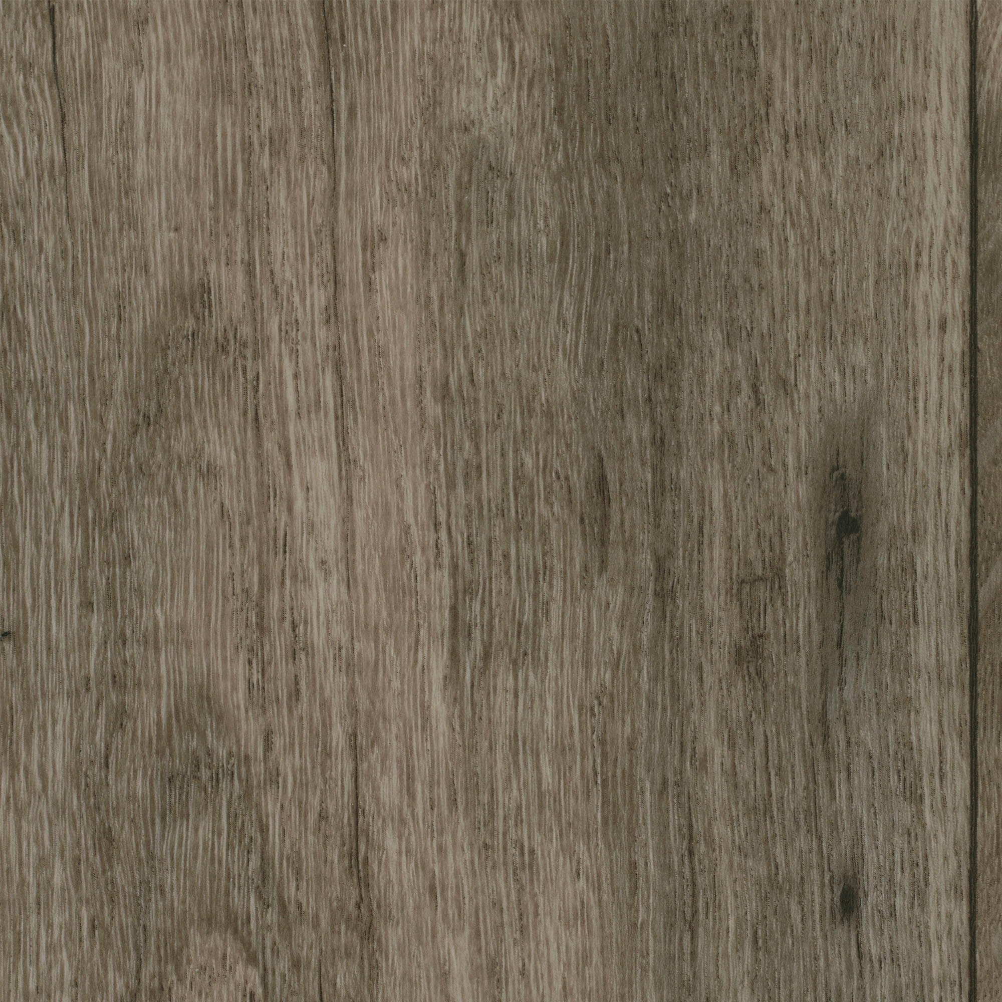 Image of Bodenmeister Vinylboden »PVC Bodenbelag Holzoptik Diele Eiche rustikal grau«, Meterware, Breite 400/500 cm bei Ackermann Versand Schweiz