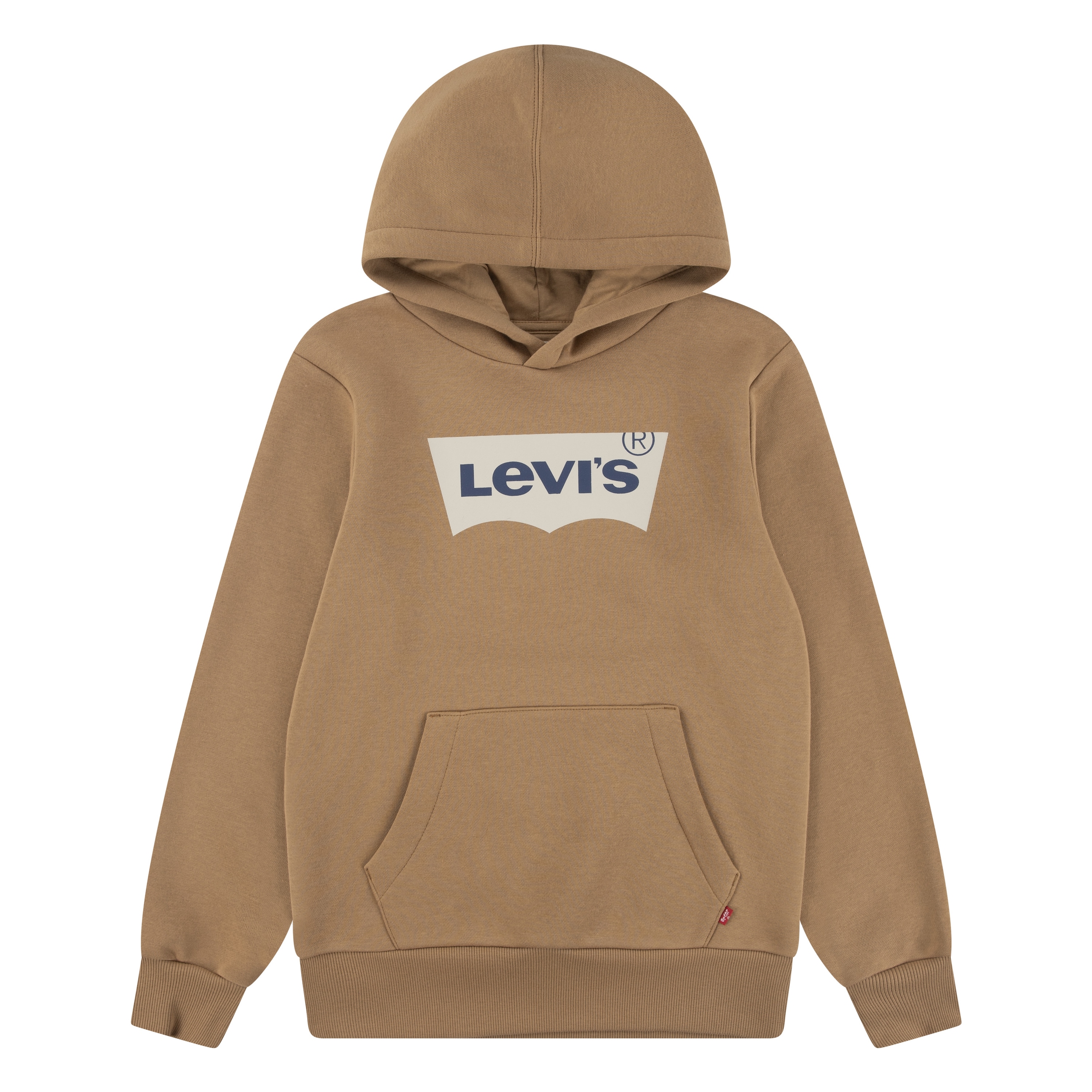 Image of Levis Kids Kapuzensweatshirt "LVB BATWING PULLOVER HOODIE", for BOYS