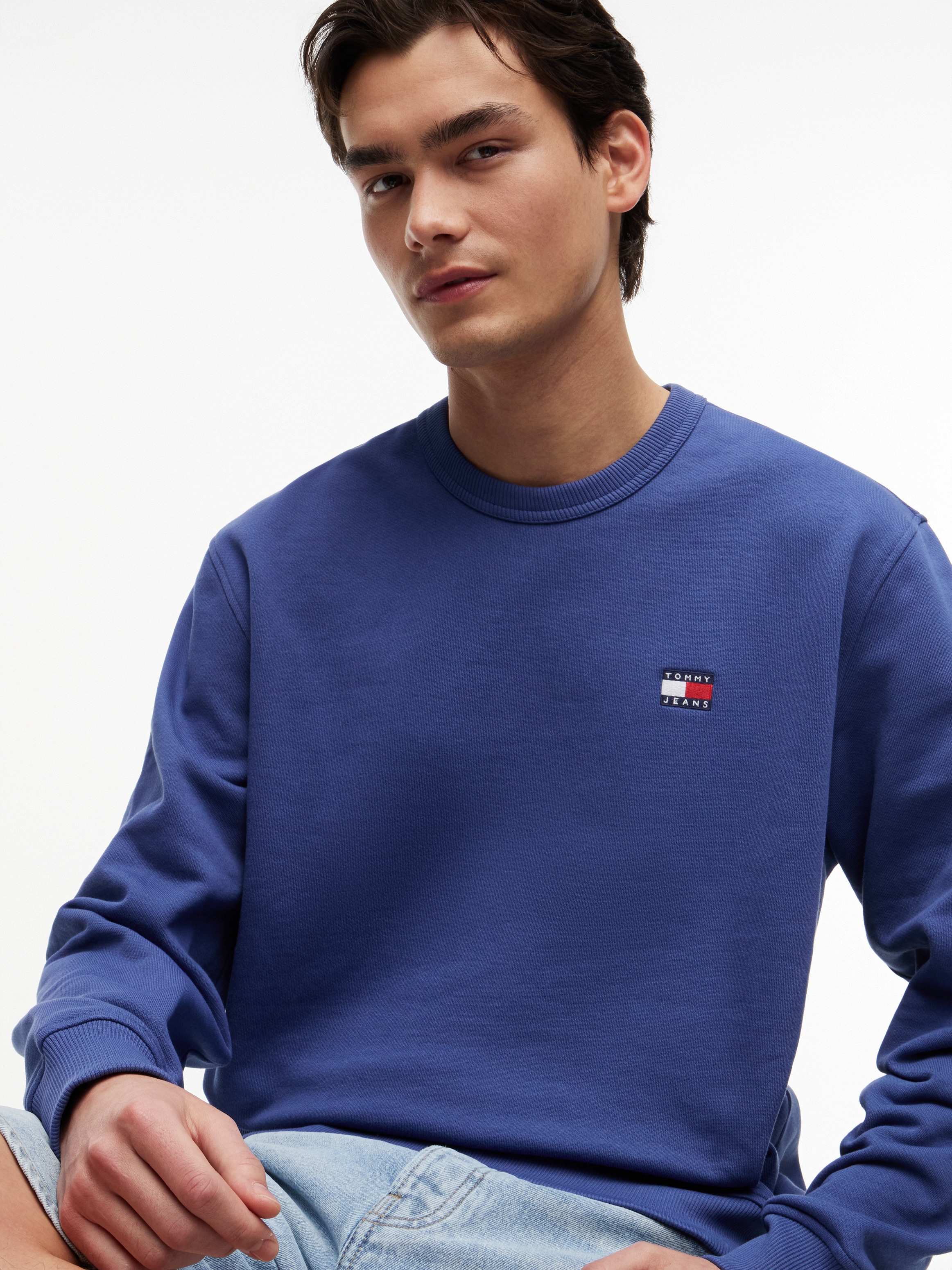 Tommy Jeans Sweat-shirt »TJM REG BADGE CREW EXT«
