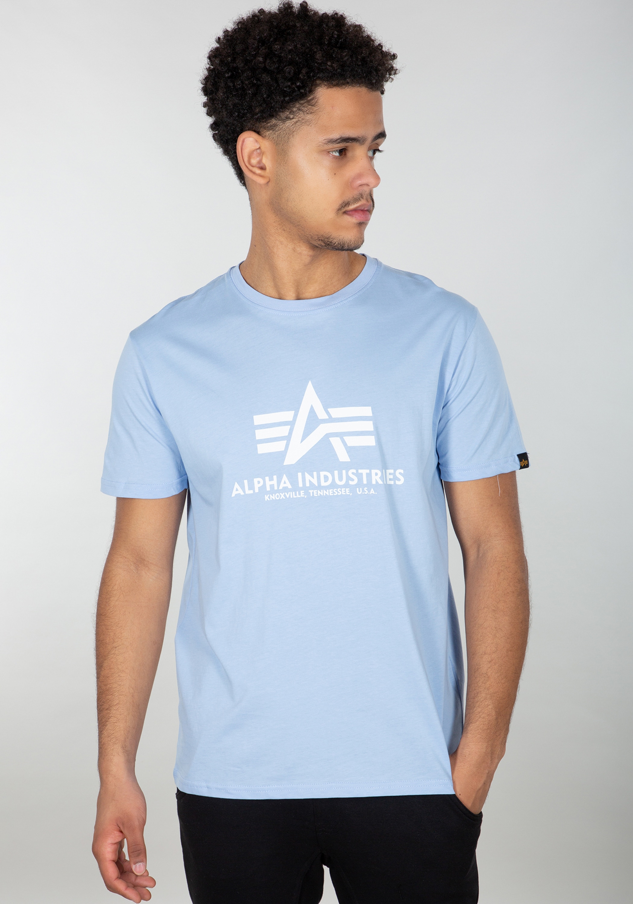 Alpha Industries T-Shirt »Basic T-Shirt BL«