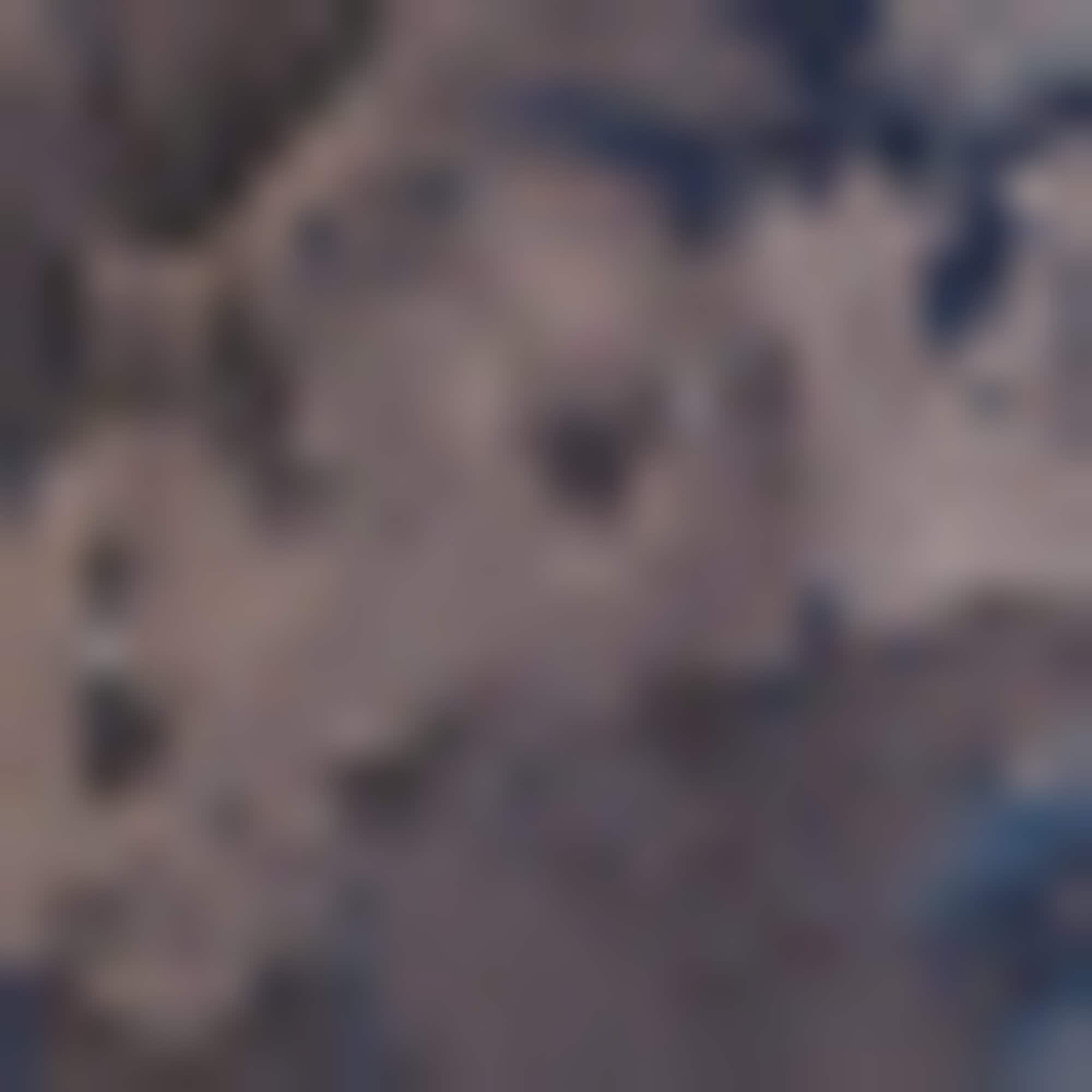 BOSS Badeshorts »Piranha« mit buntem Alloverdruck