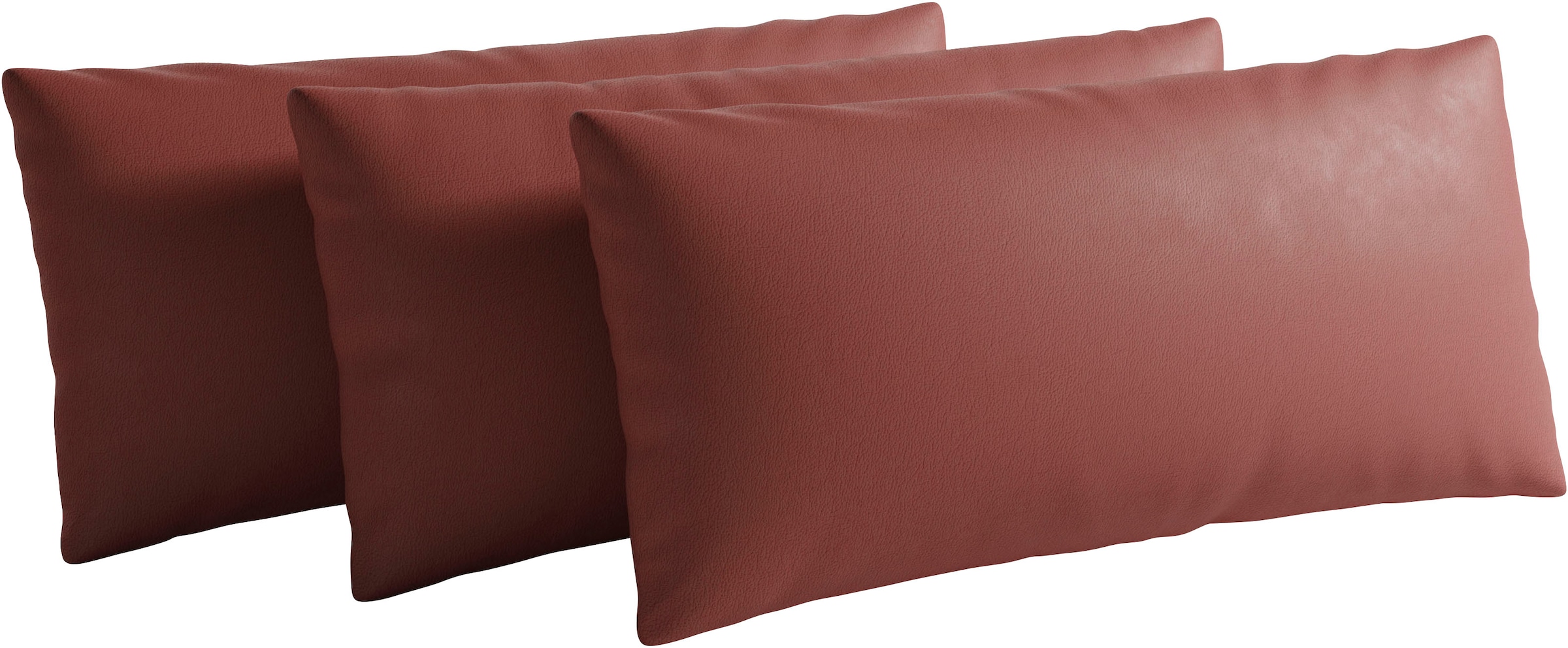 Image of sit&more Sofakissen "Vanity Leder, 3er Set, B: 60 cm"
