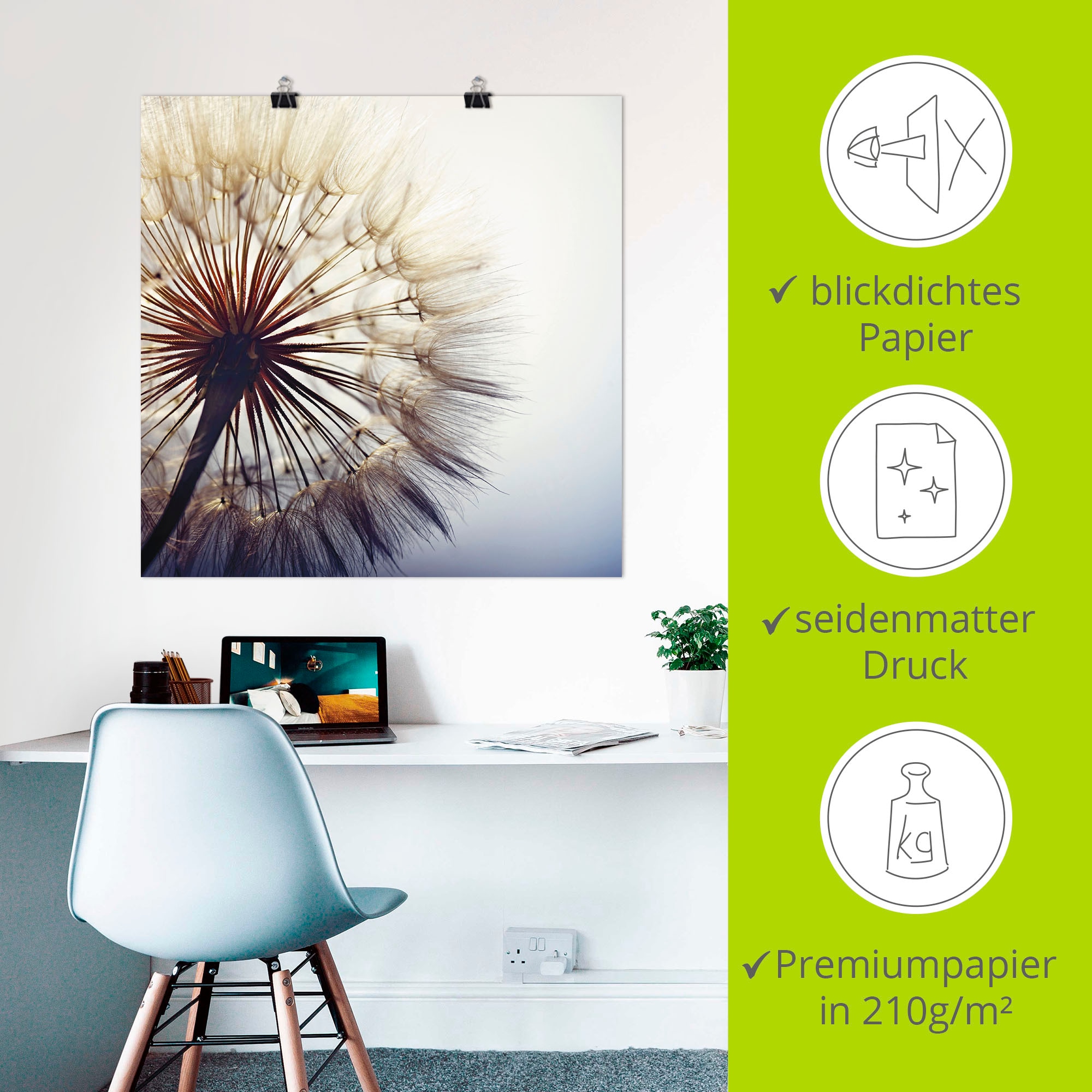 Artland Wandbild »Grosse Pusteblume« Blumen 1 Stk. tlg. als Leinwandbild, Poster in verschied. Grössen