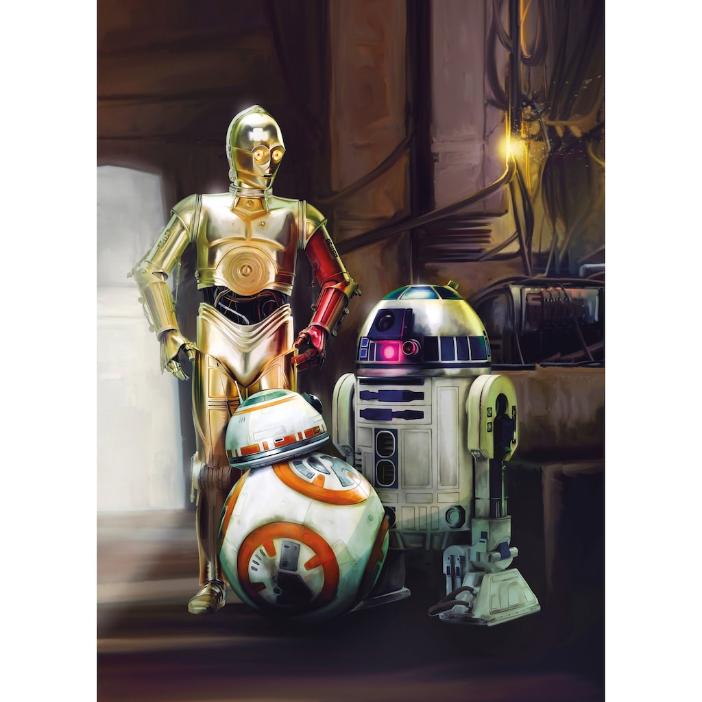 Komar Fototapete »STAR WARS Three Droids«