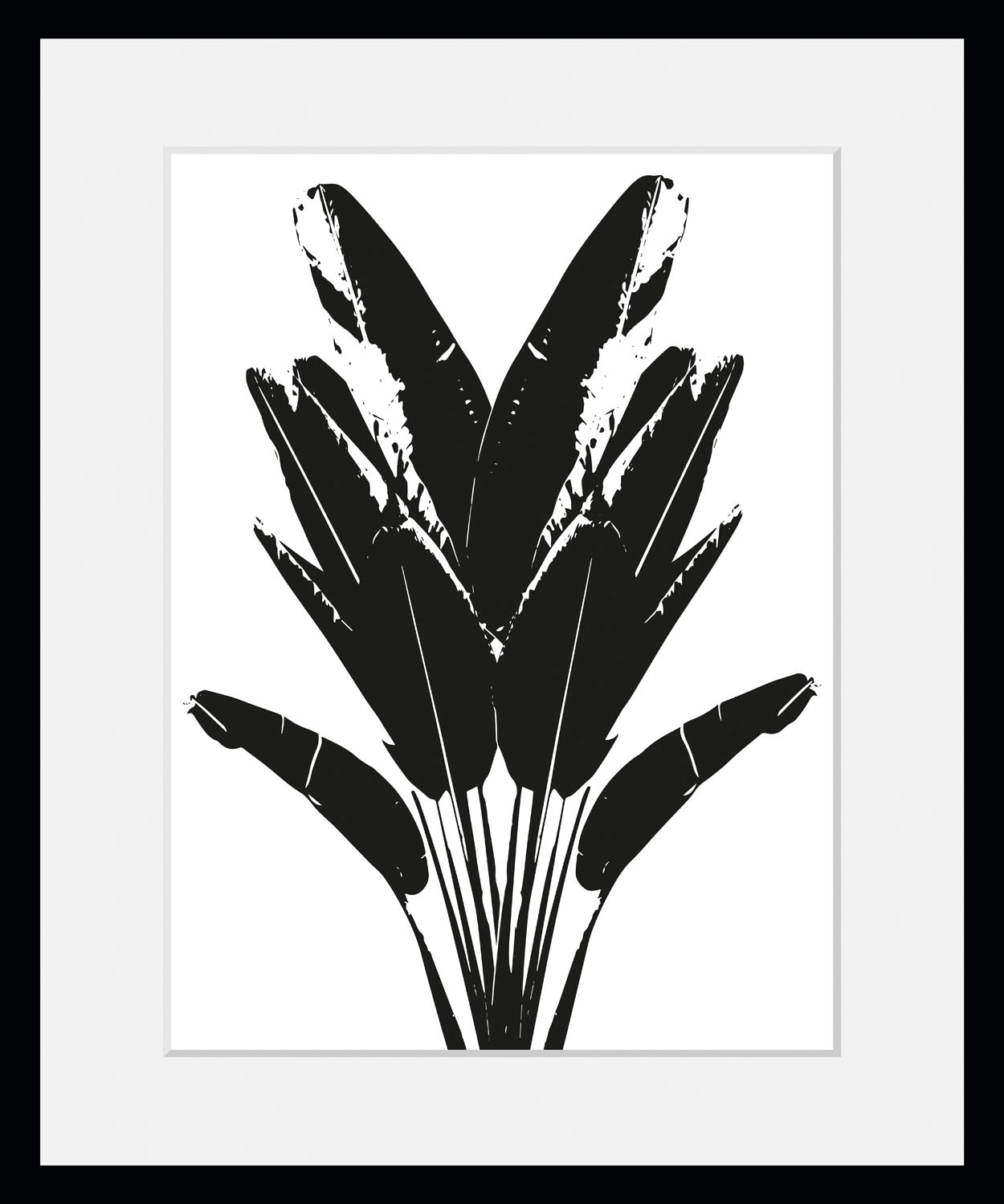 queence Bild »Palma«, Blätter-Pflanzen-Pflanzenbilder-Kunst-Schwarz-Weiss, (1 St.), HD Premium Poster-Druck inkl. Holzrahmen