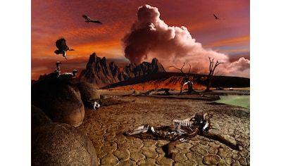 Fototapete »Apokalyptische Landschaft«