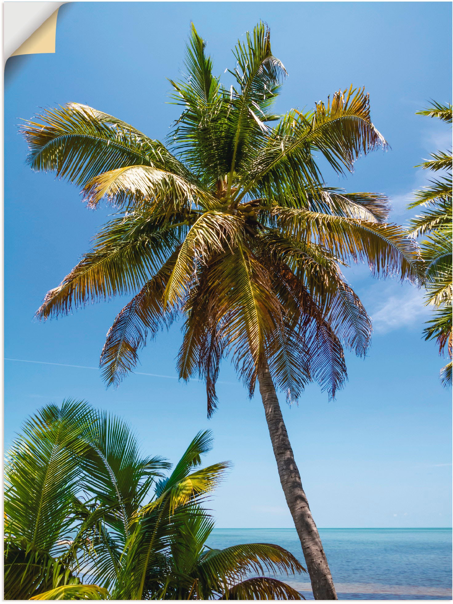 Image of Artland Wandbild »Florida Keys Palme & Ozean«, Bäume, (1 St.), in vielen Grössen & Produktarten -Leinwandbild, Poster, Wandaufkleber / Wandtattoo auch für Badezimmer geeignet bei Ackermann Versand Schweiz